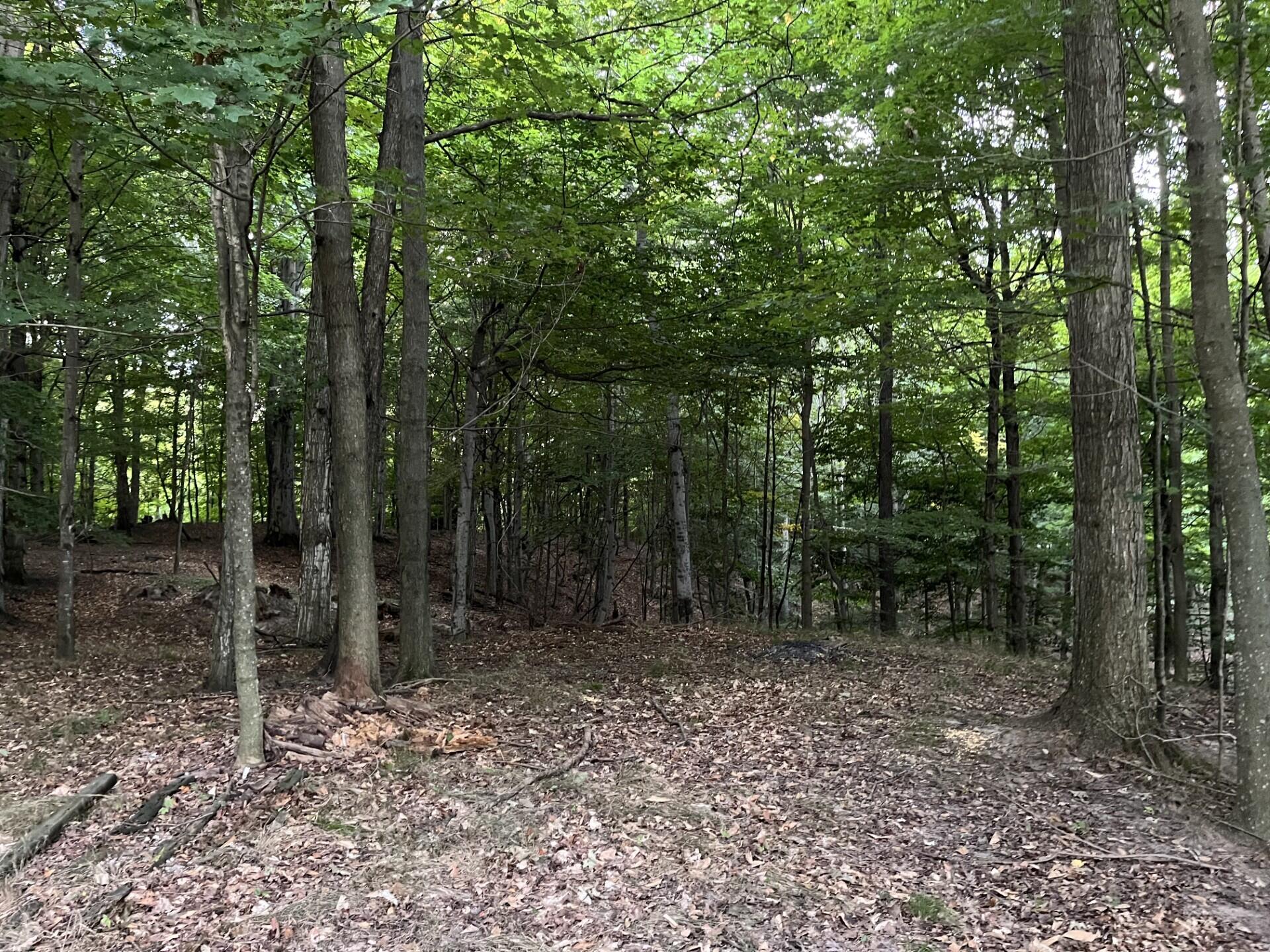 6085 W Storm Ridge Lane Ludington MI 49431
