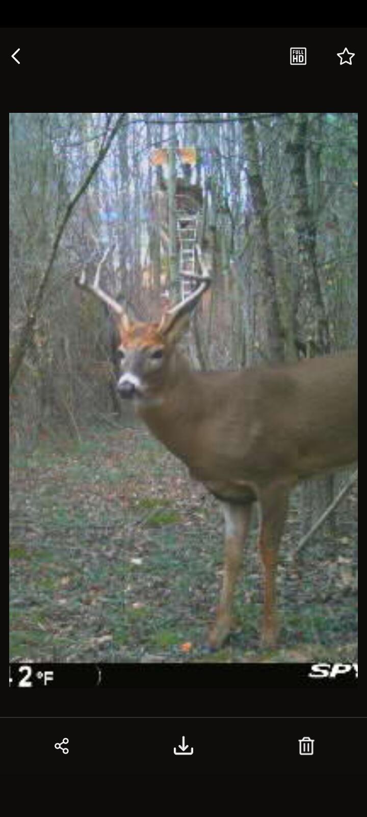 1863 Crystal Lane Allegan MI 49010