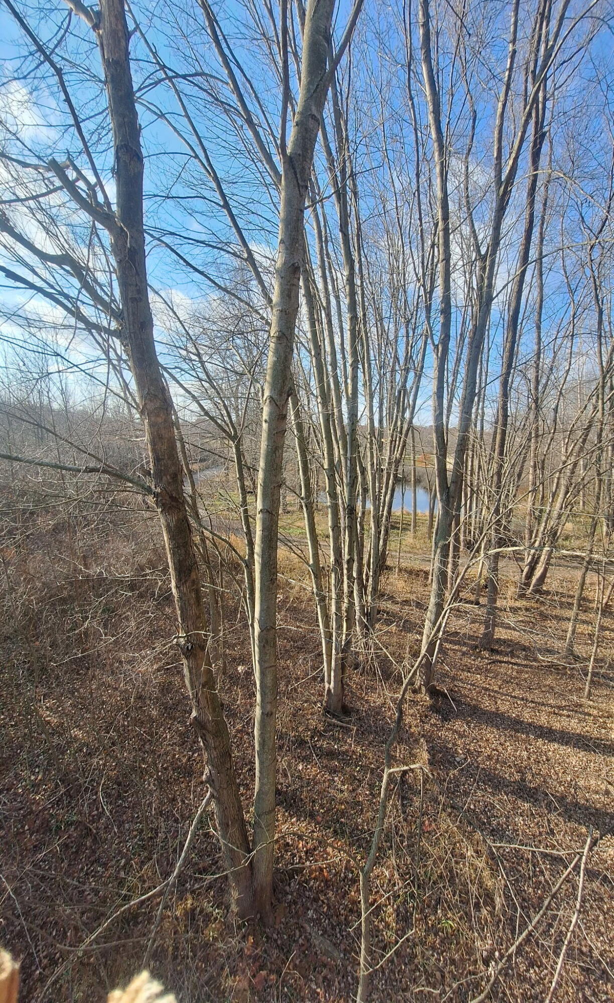 1863 Crystal Lane Allegan MI 49010