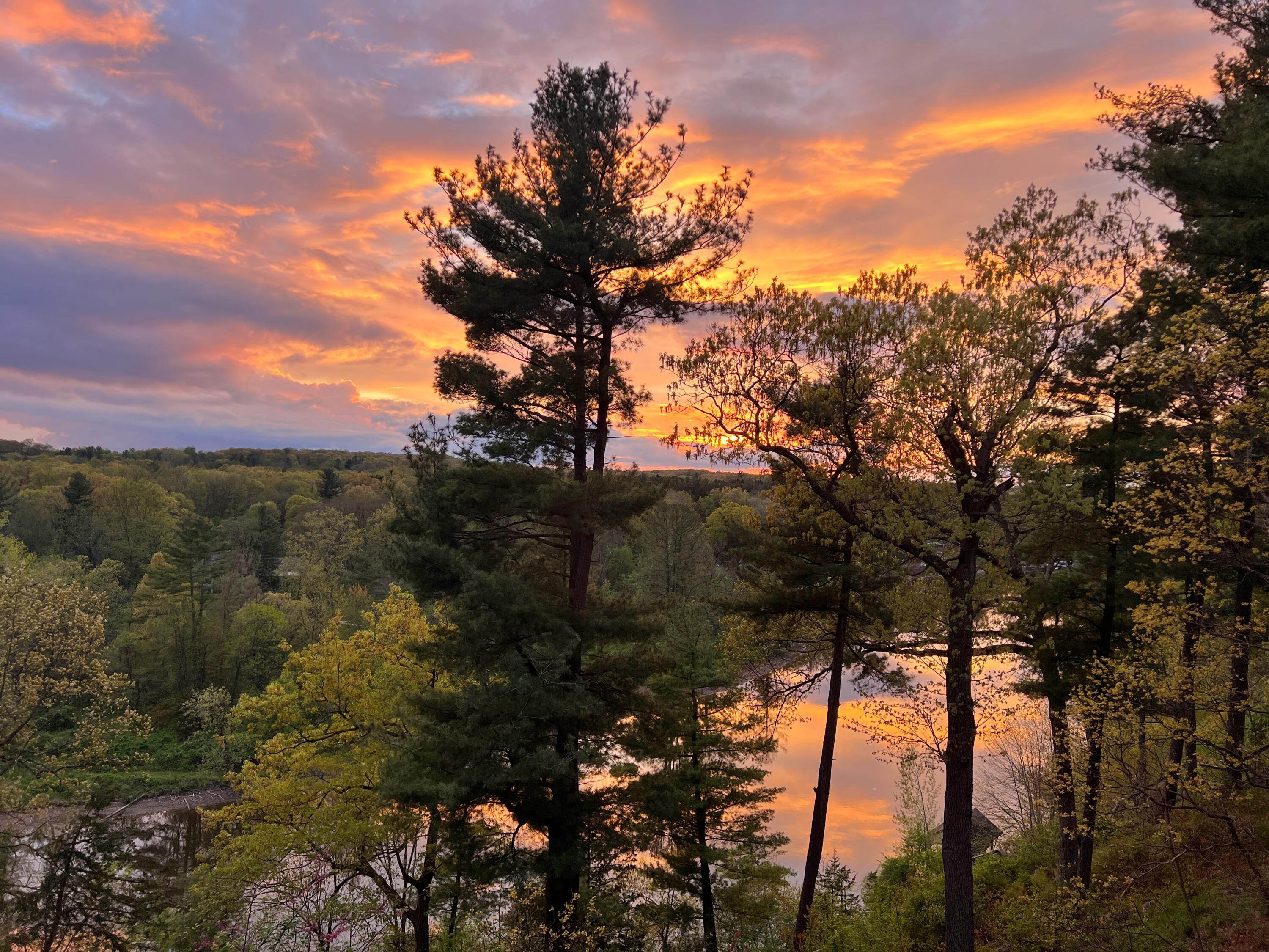 2100 Timber Point Drive SE Ada MI 49301