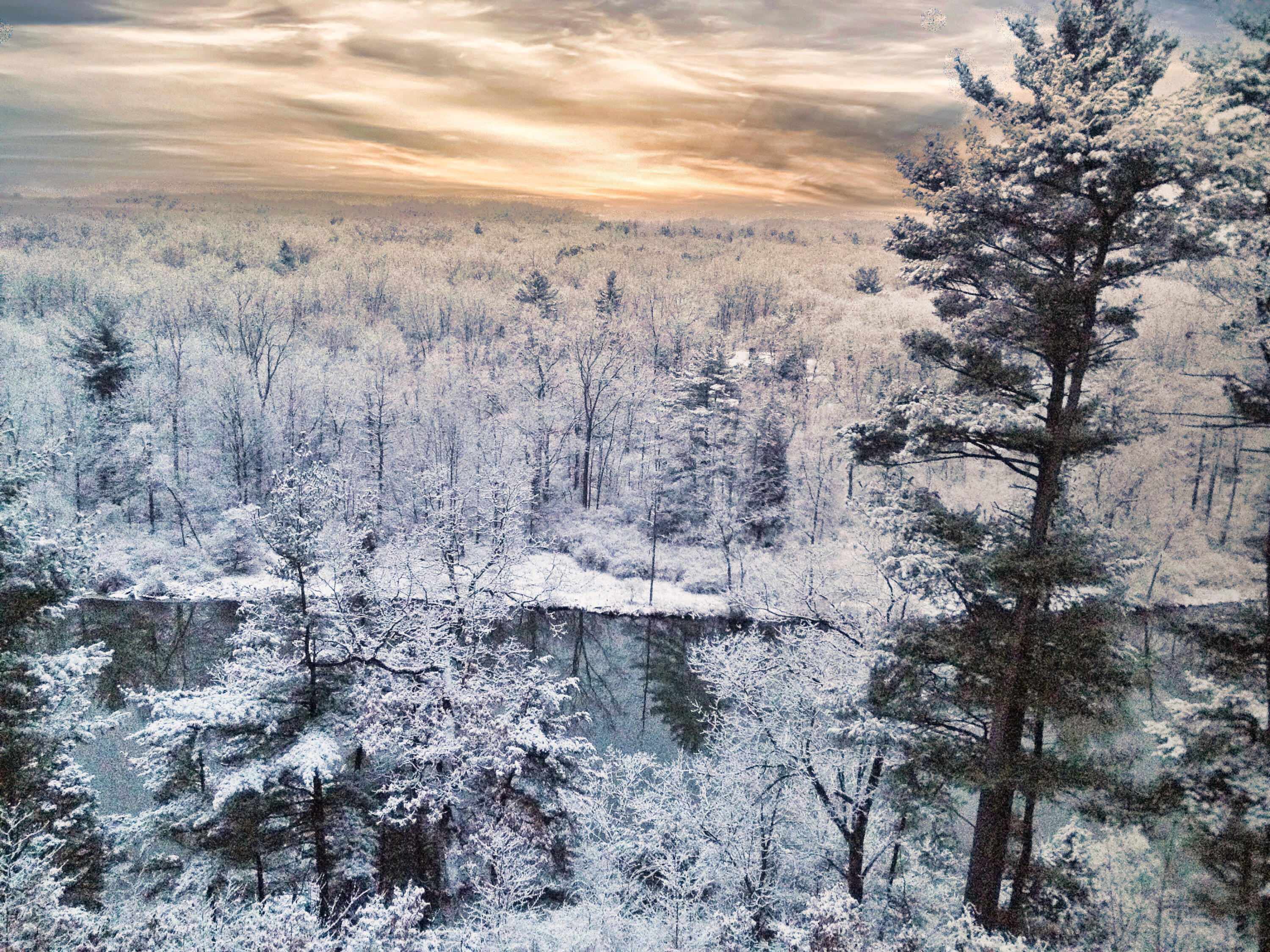 2100 Timber Point Drive SE Ada MI 49301