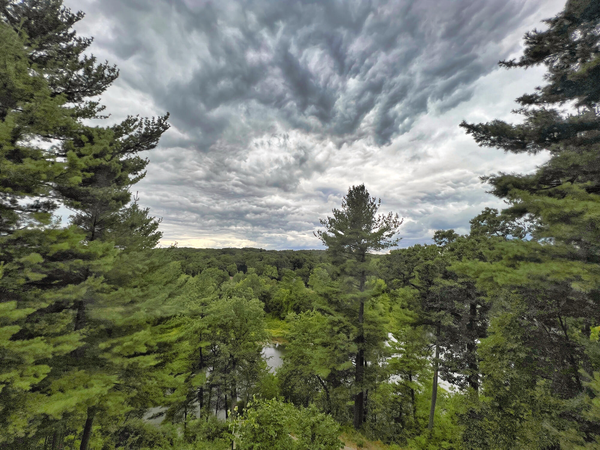 2100 Timber Point Drive SE Ada MI 49301