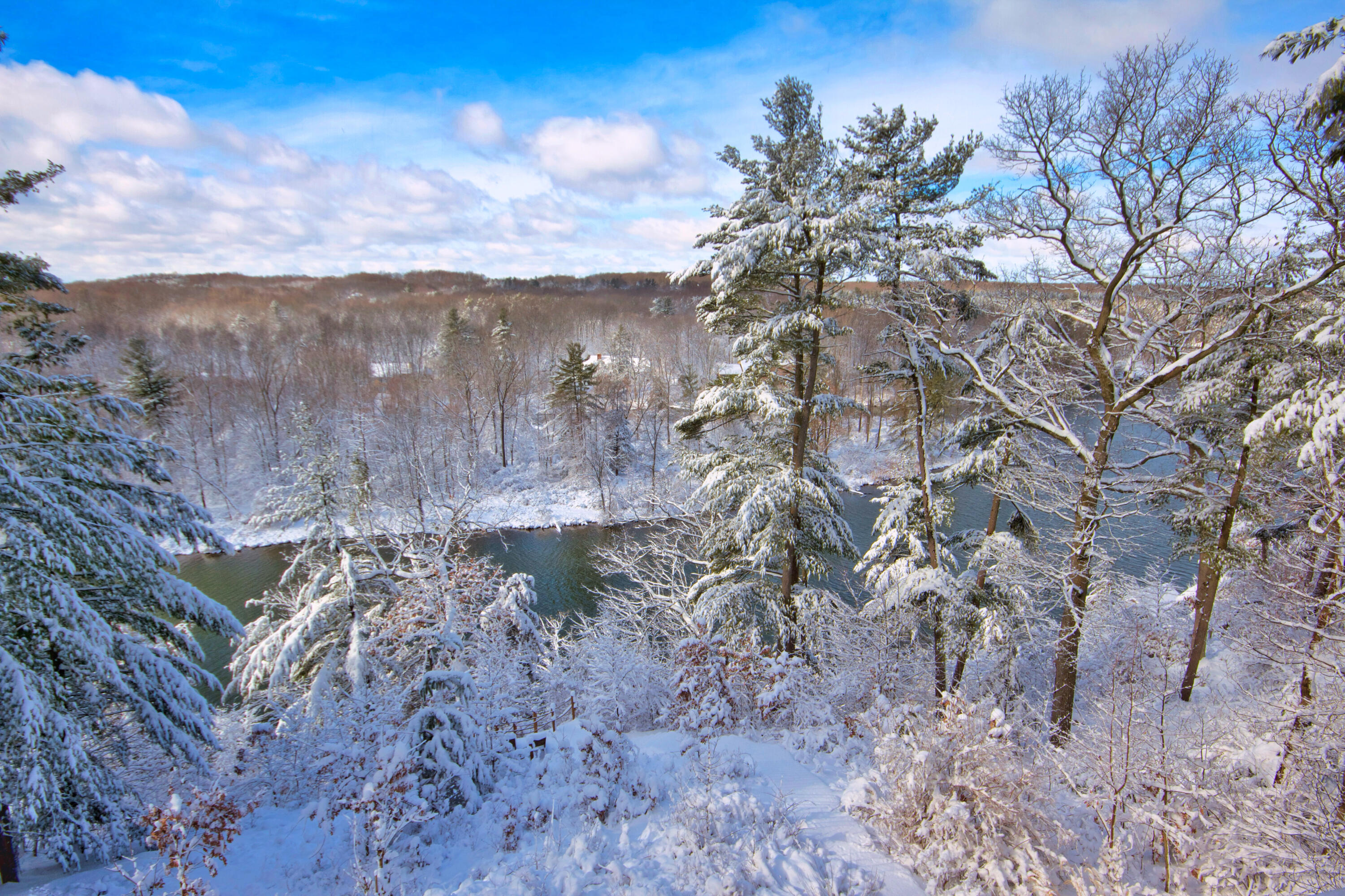 2100 Timber Point Drive SE Ada MI 49301