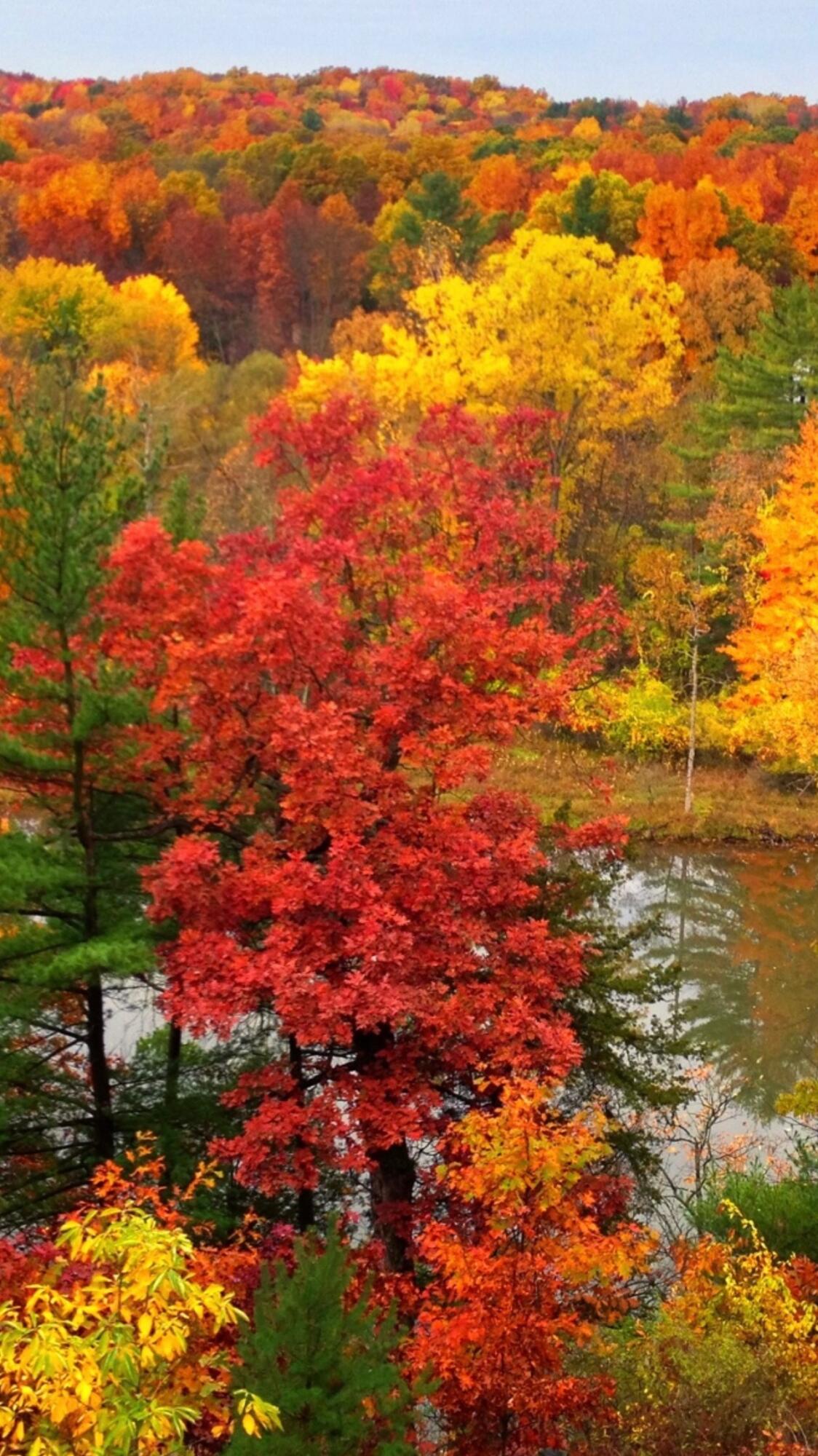 2100 Timber Point Drive SE Ada MI 49301