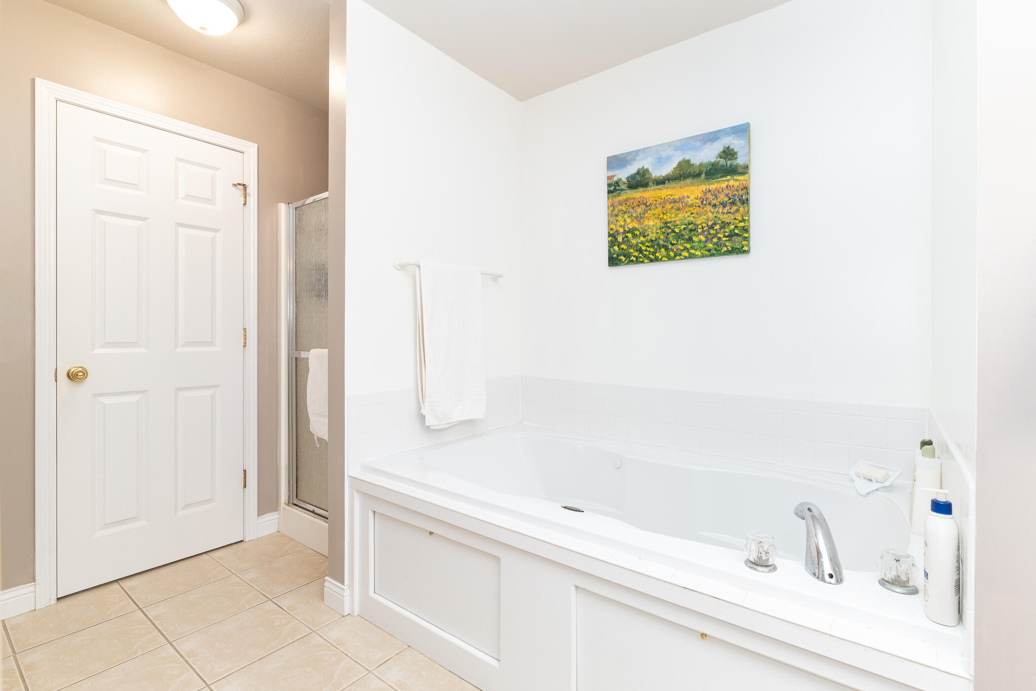 1167 Chaucer Avenue Portage MI 49002