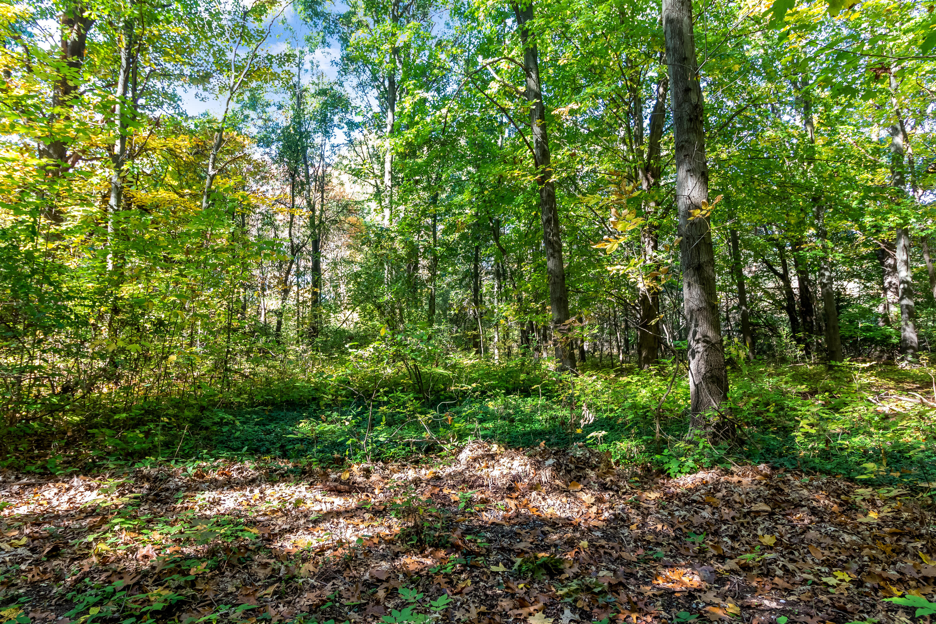 6565 Riverside Road Fennville MI 49408