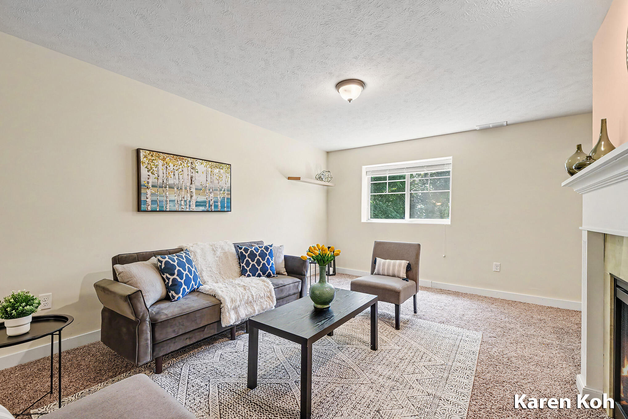 4521 Burton Forest Court SE Grand Rapids MI 49546