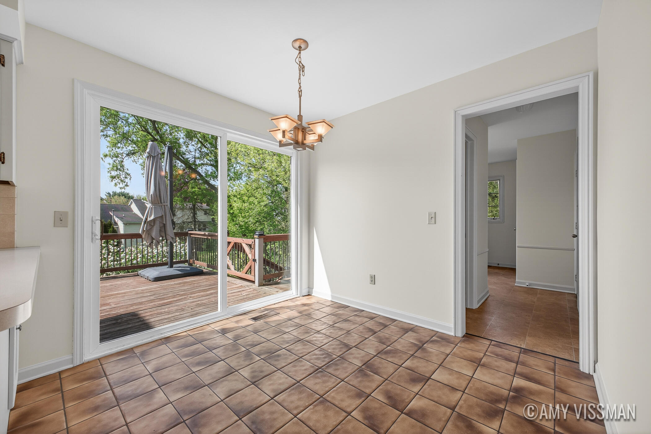 3415 N Applecrest Court SE Ada MI 49301