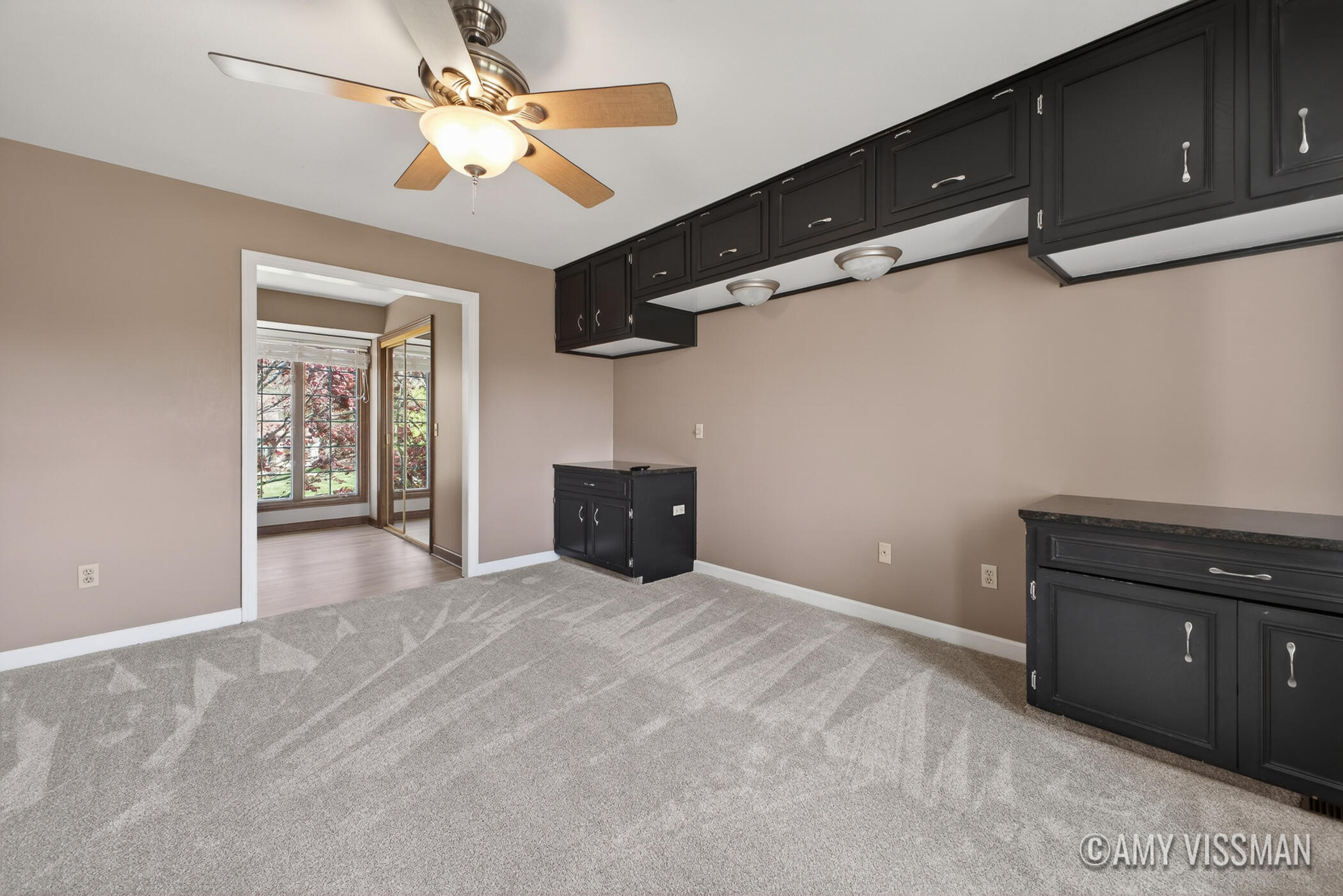 3415 N Applecrest Court SE Ada MI 49301
