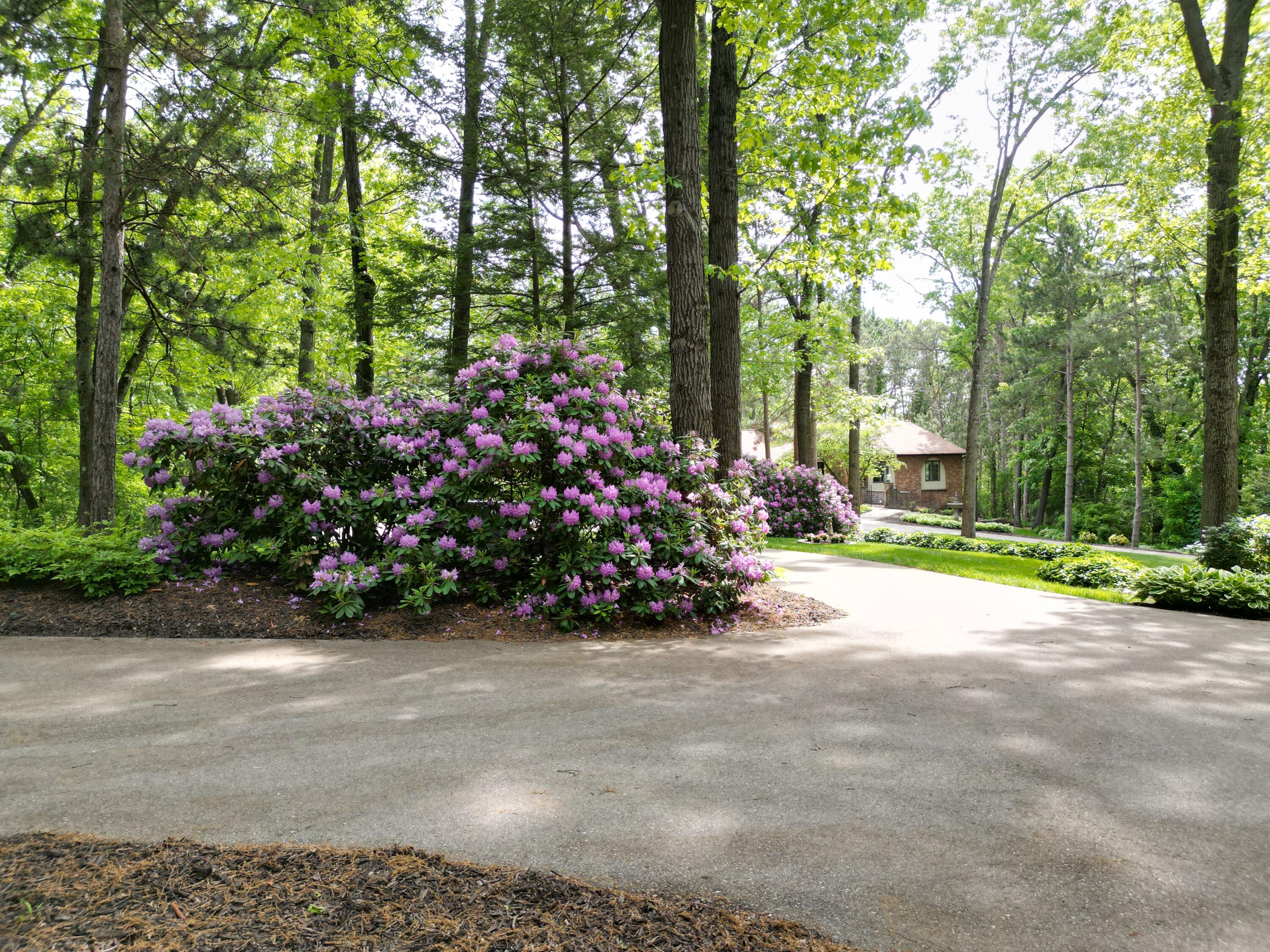 8160 Wilderness Trail NE Ada MI 49301
