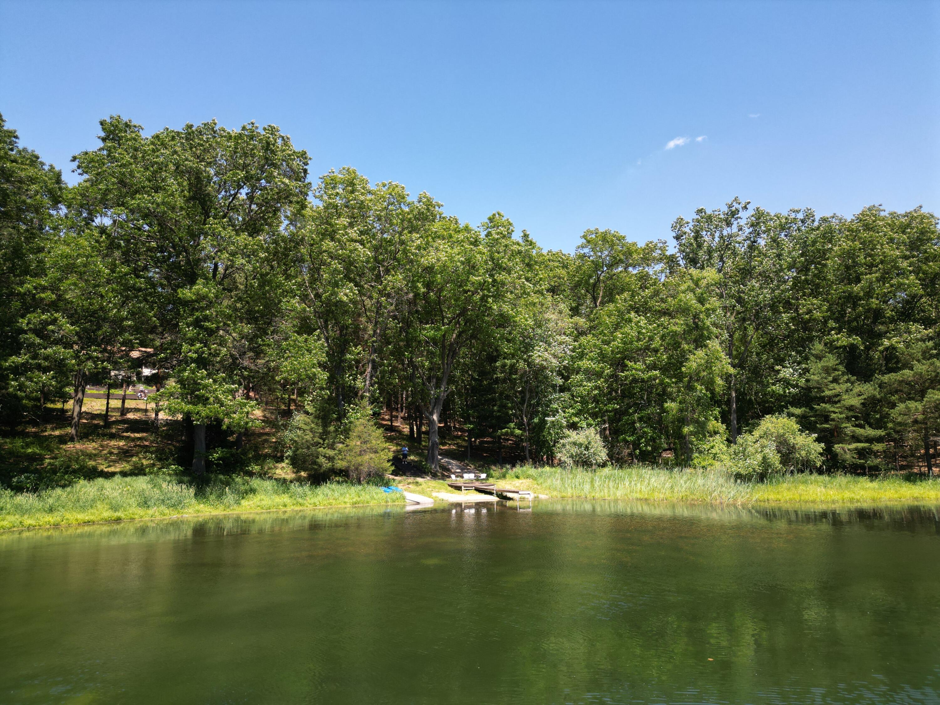 8160 Wilderness Trail NE Ada MI 49301