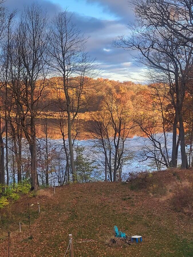 23536 Forest Shores Drive Cassopolis MI 49031