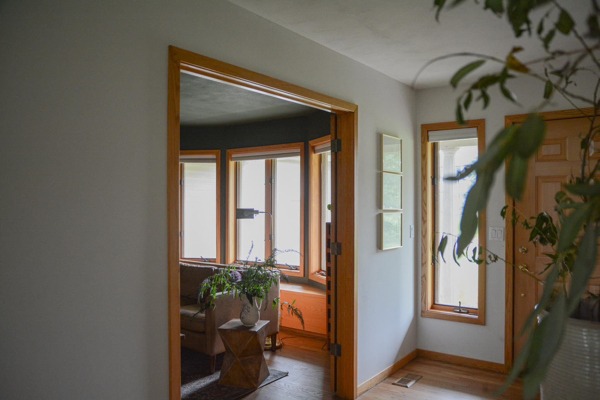 3541 Elk Drive Zeeland MI 49464