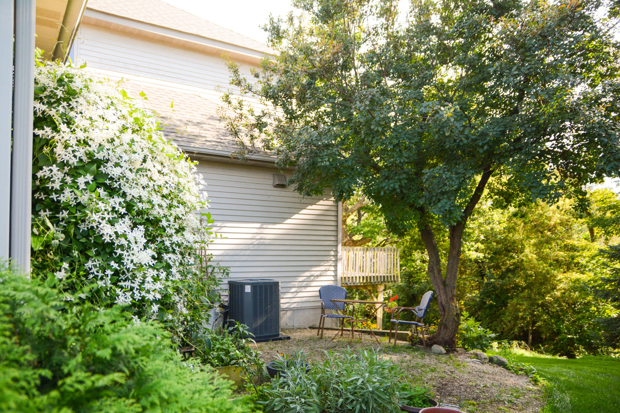 3541 Elk Drive Zeeland MI 49464