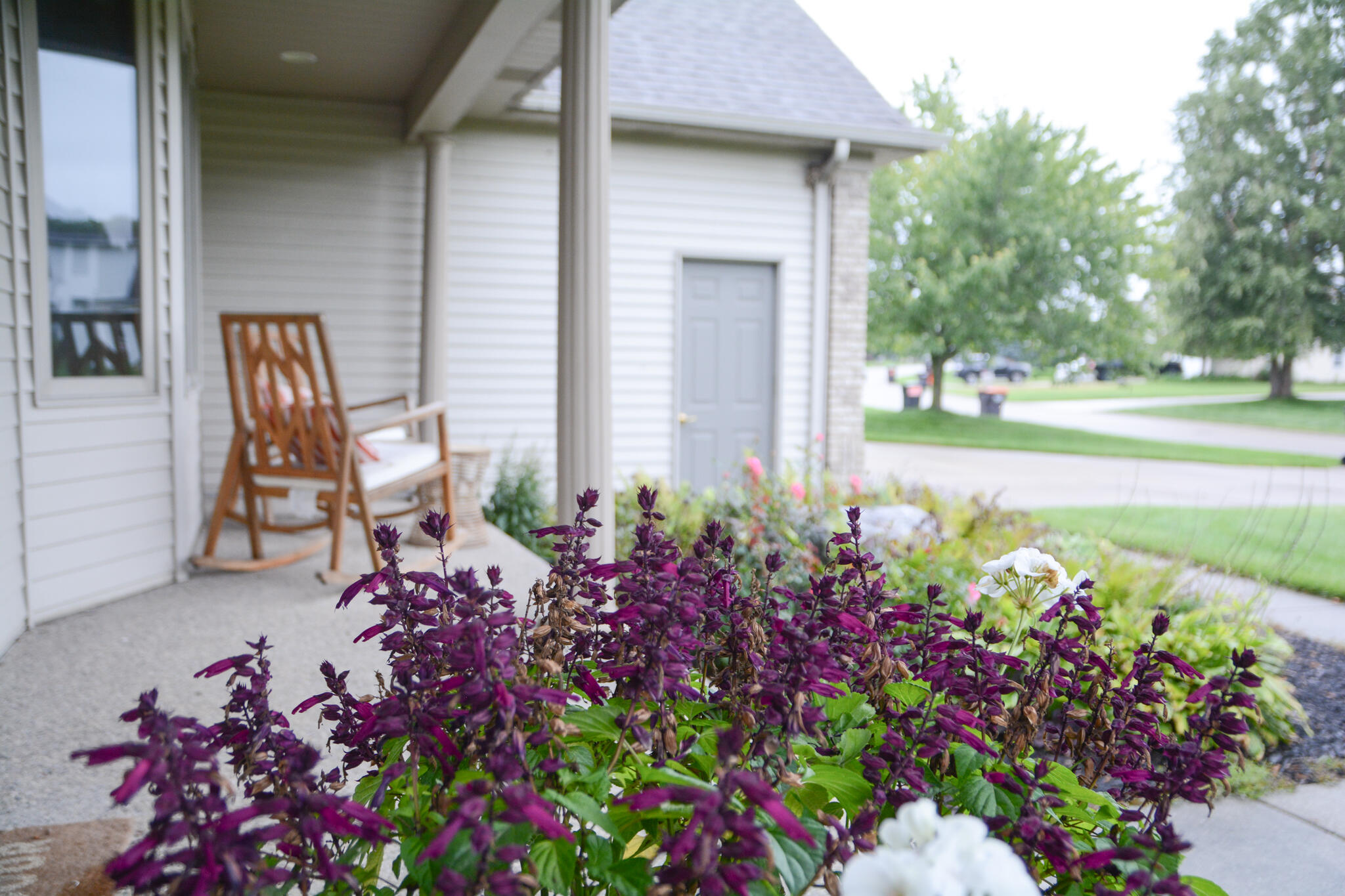 3541 Elk Drive Zeeland MI 49464