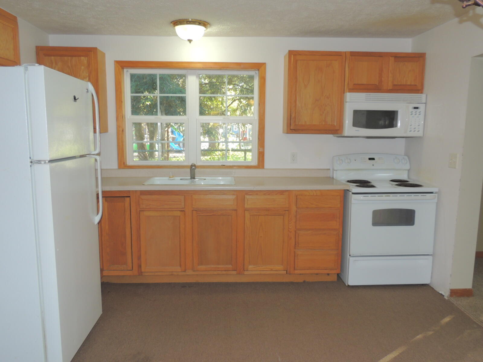 410 N Maple Street Fennville MI 49408