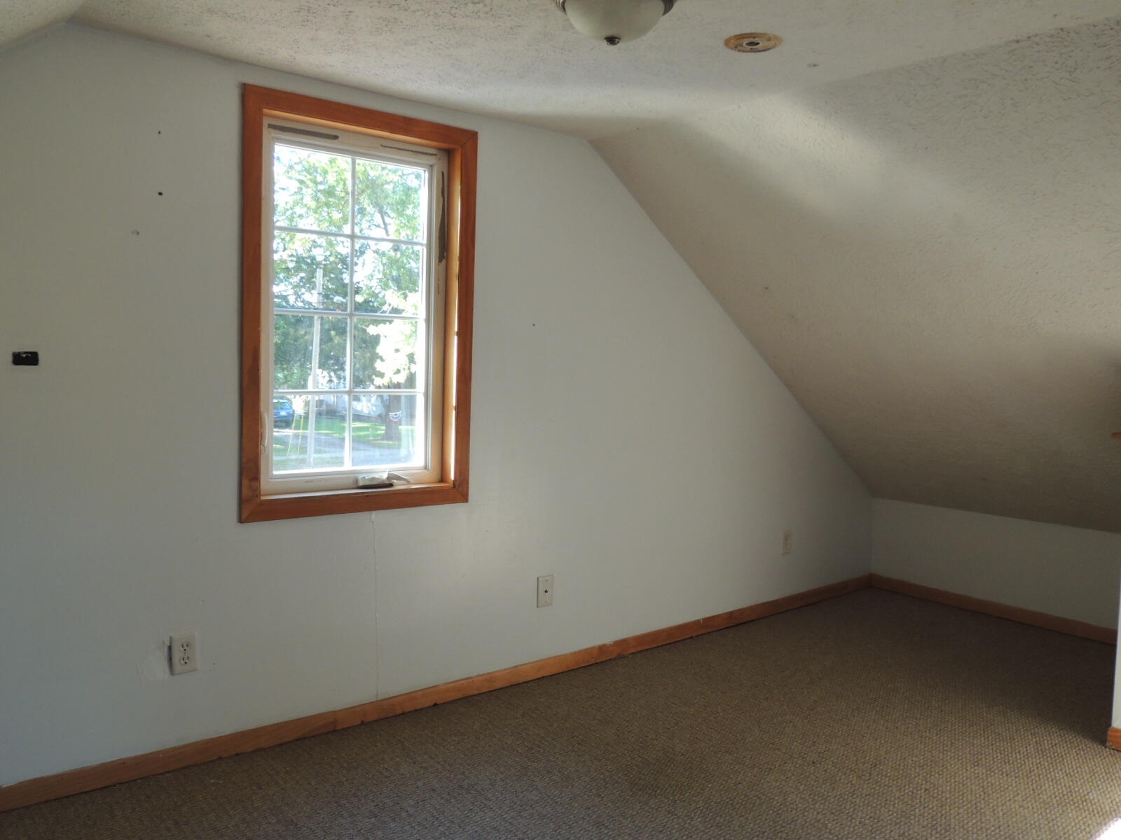 410 N Maple Street Fennville MI 49408