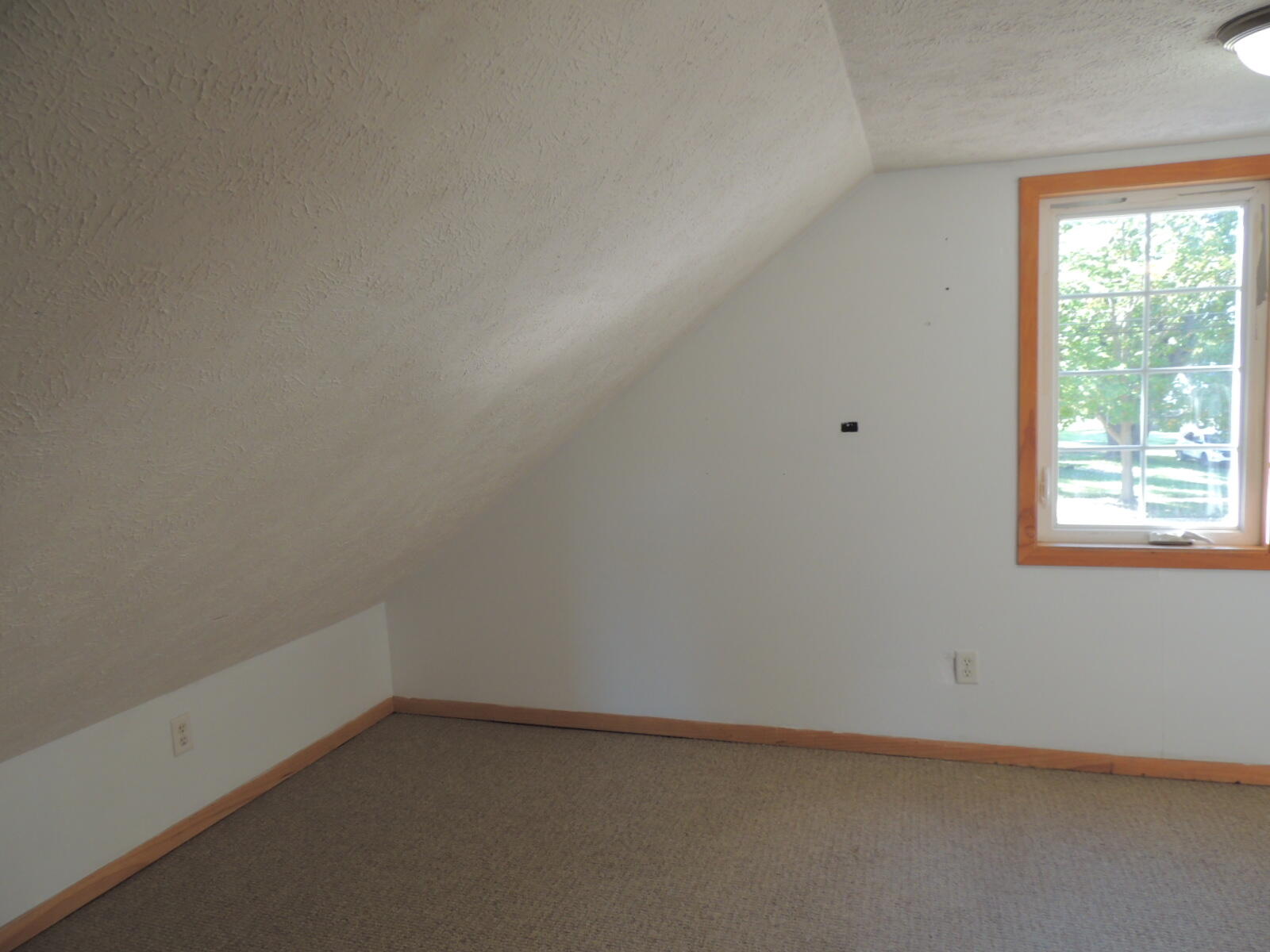 410 N Maple Street Fennville MI 49408