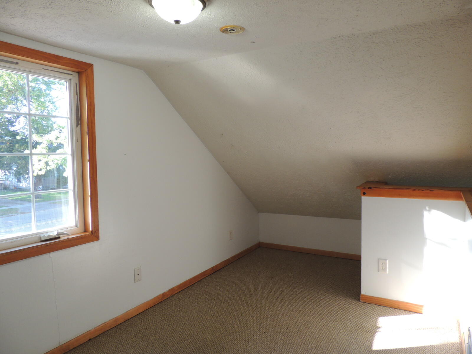 410 N Maple Street Fennville MI 49408