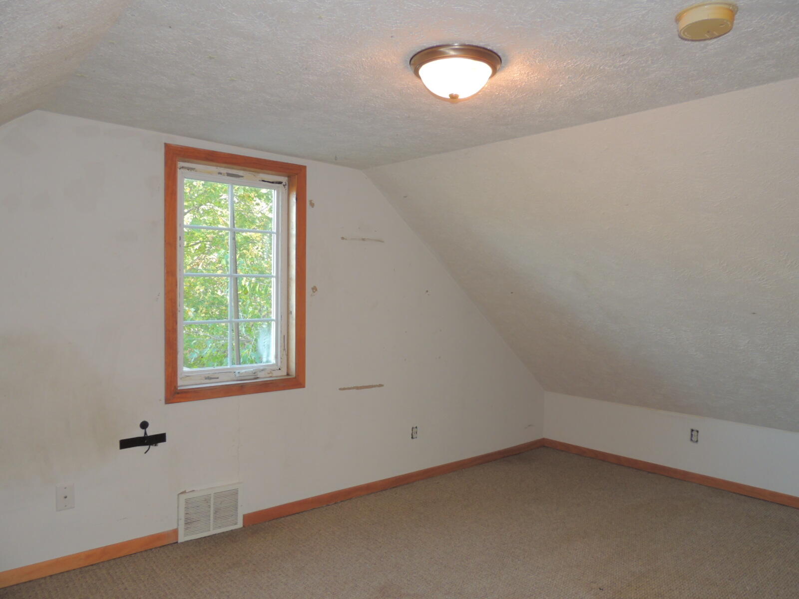 410 N Maple Street Fennville MI 49408