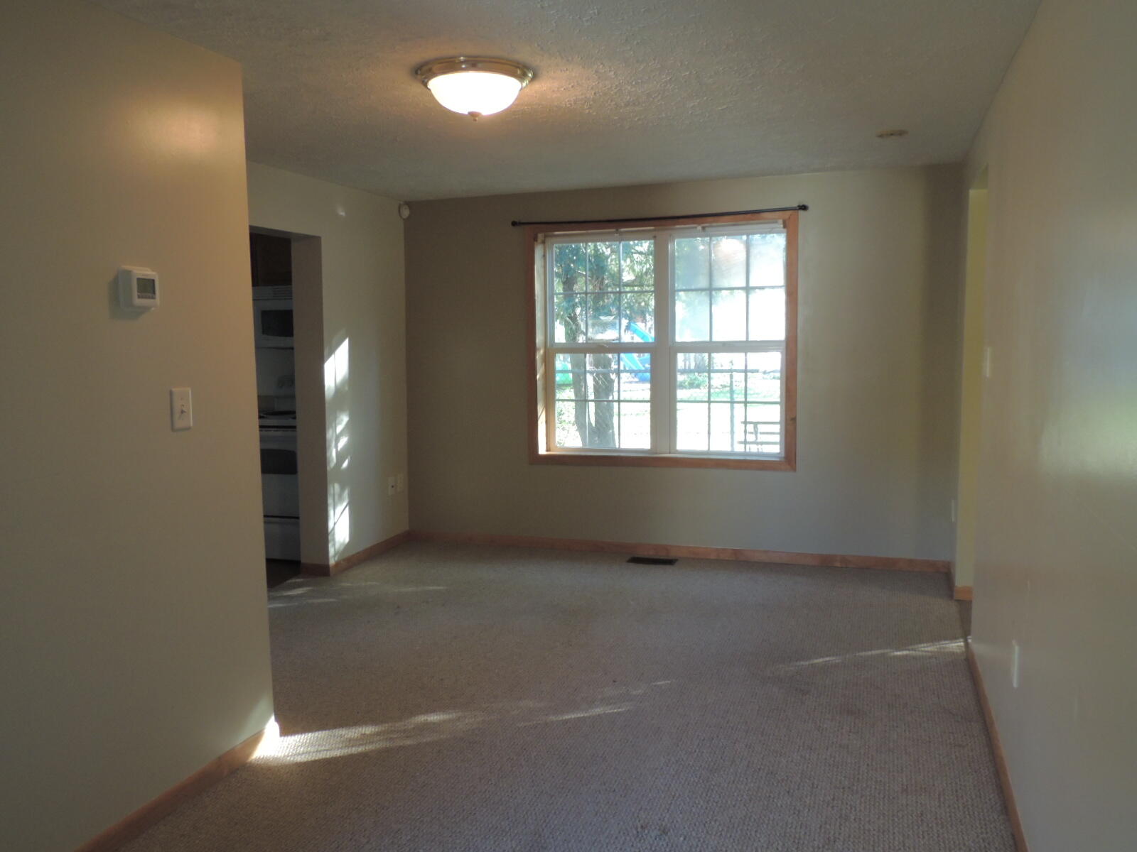 410 N Maple Street Fennville MI 49408