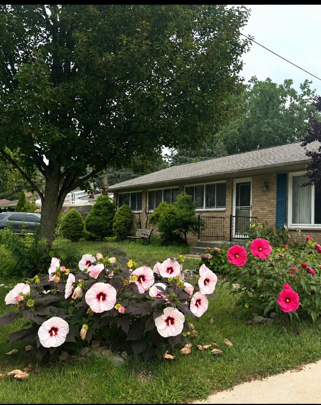 1906 Andrew Street SE Grand Rapids MI 49508