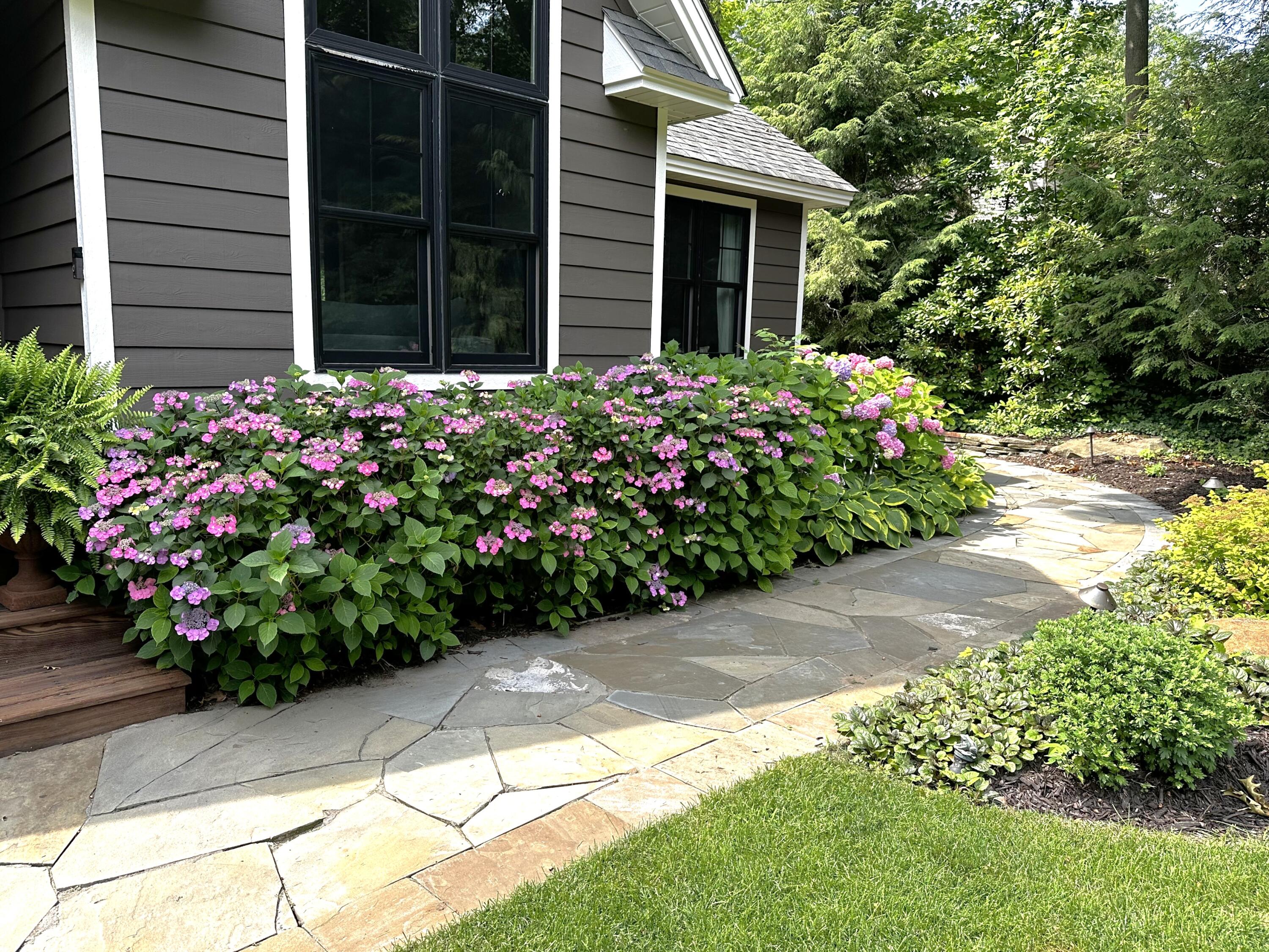 2338 Lakeshore Drive Fennville MI 49408