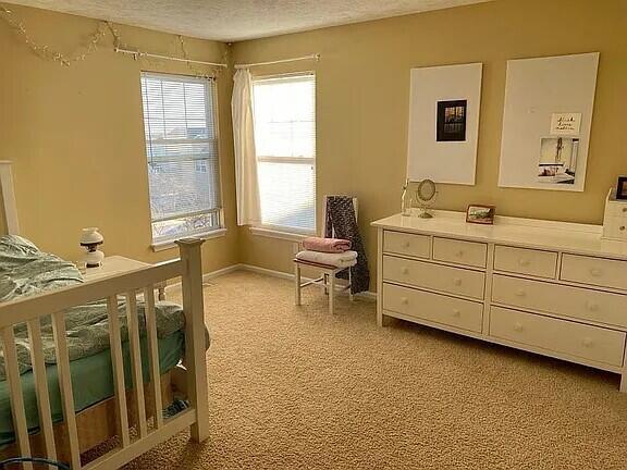 573 Brownstone Street Holland MI 49423