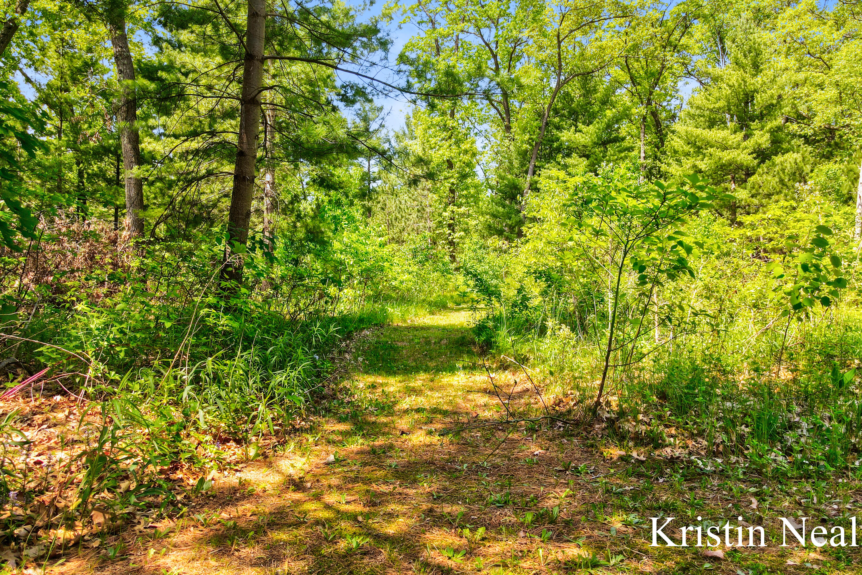 673 S Wolf Lake Road Muskegon MI 49442