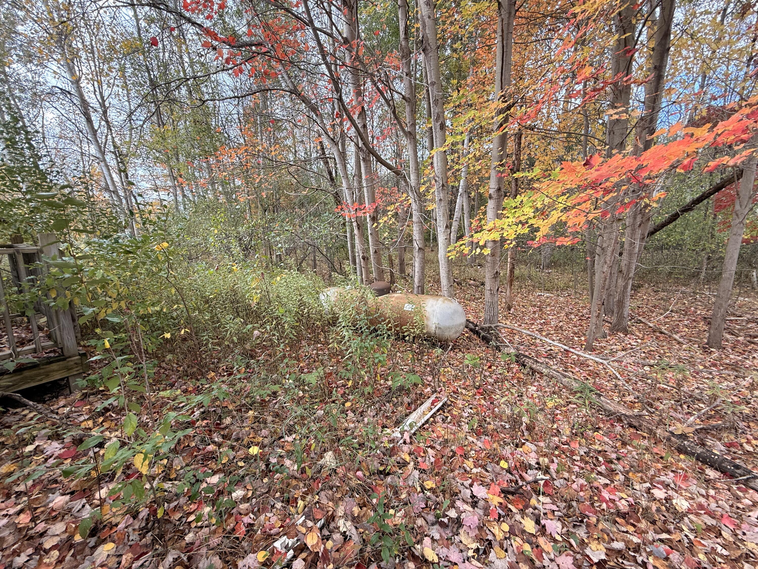 543 N Dennis Road Ludington MI 49431