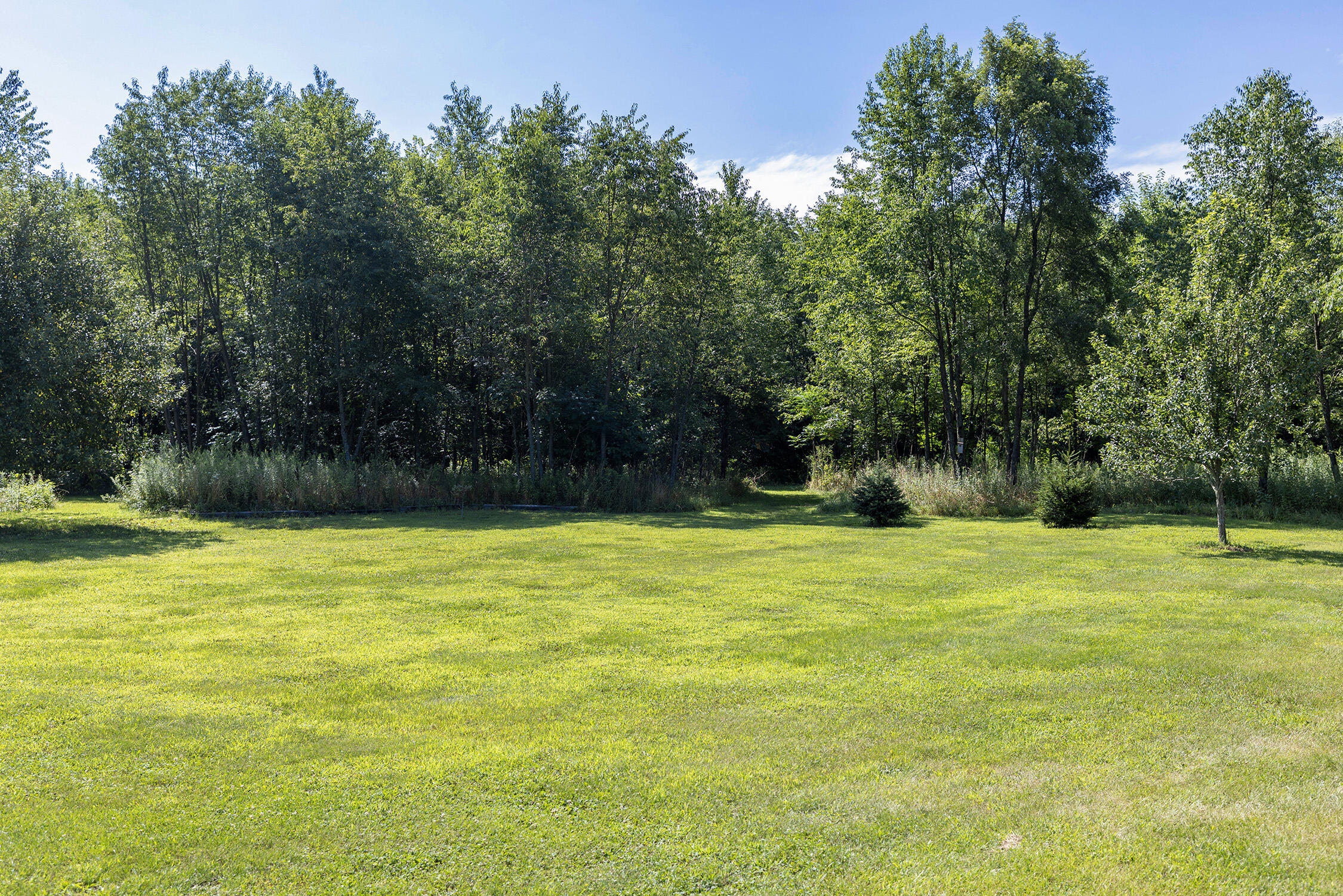 48989 92nd Avenue Decatur MI 49045