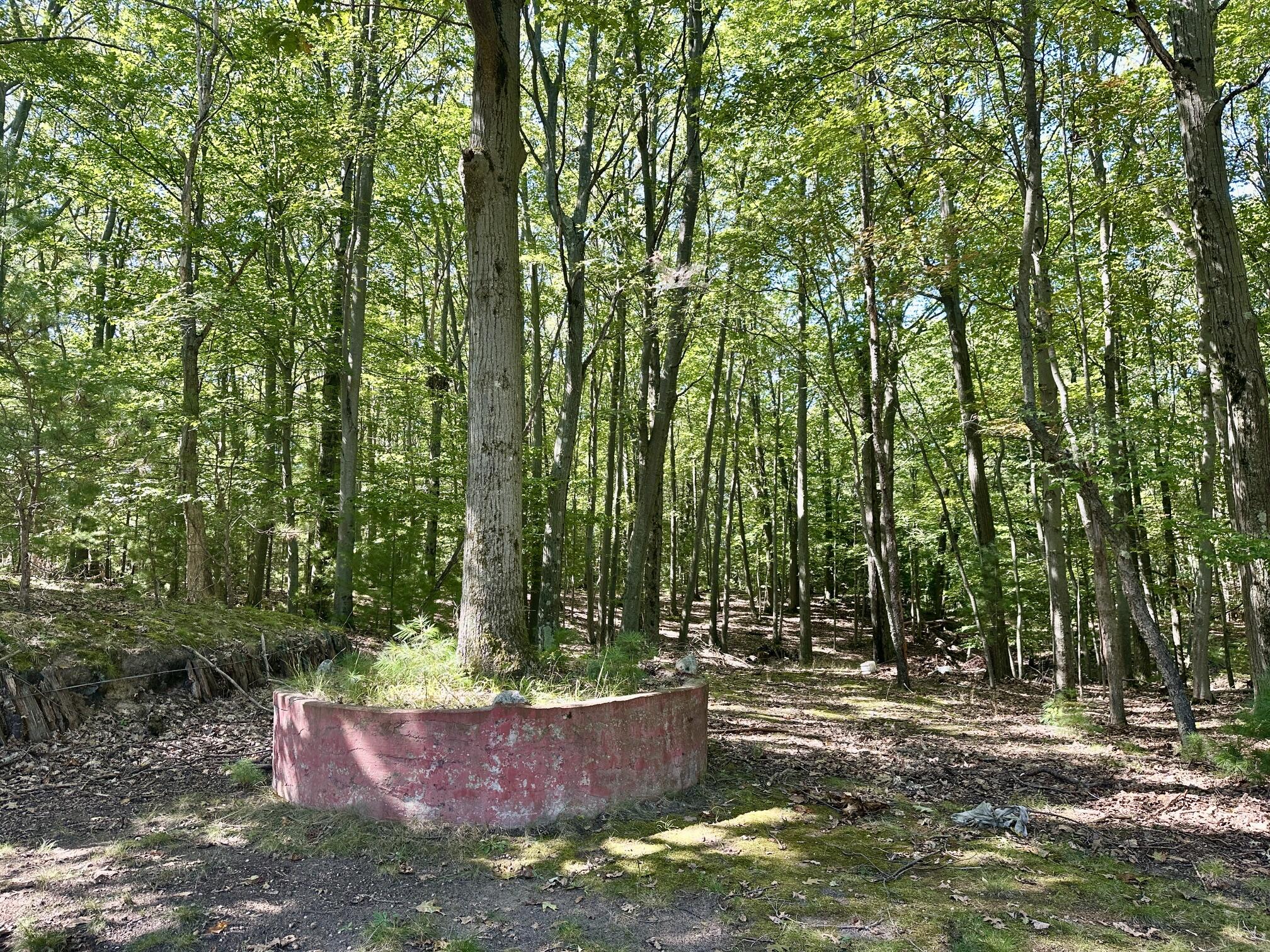 2439 N Lakeshore Drive Ludington MI 49431