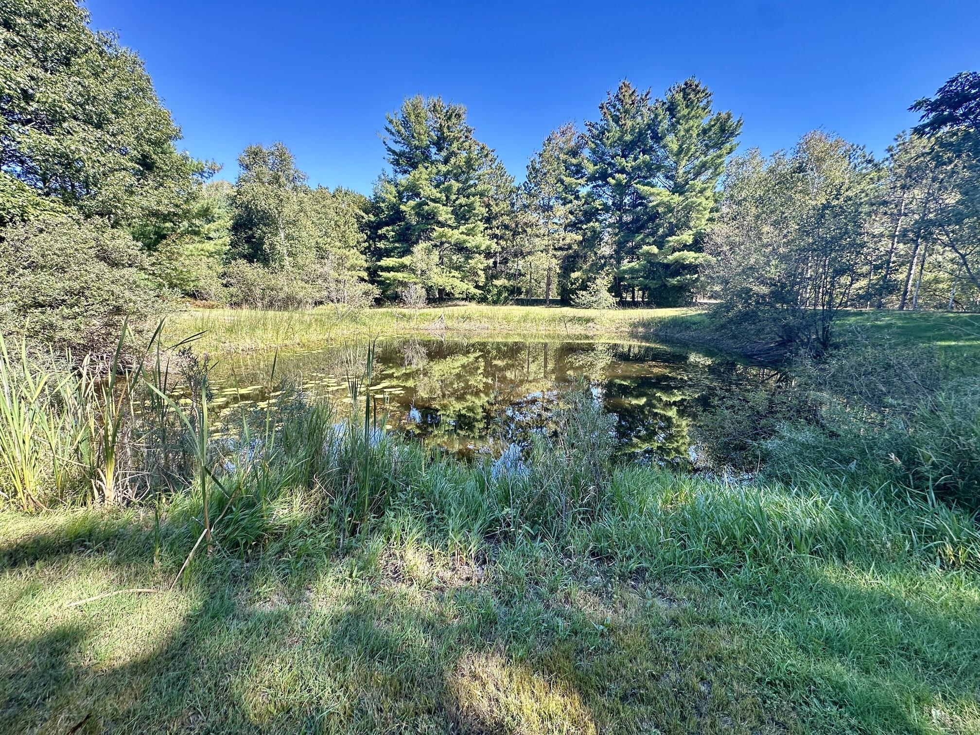 2439 N Lakeshore Drive Ludington MI 49431