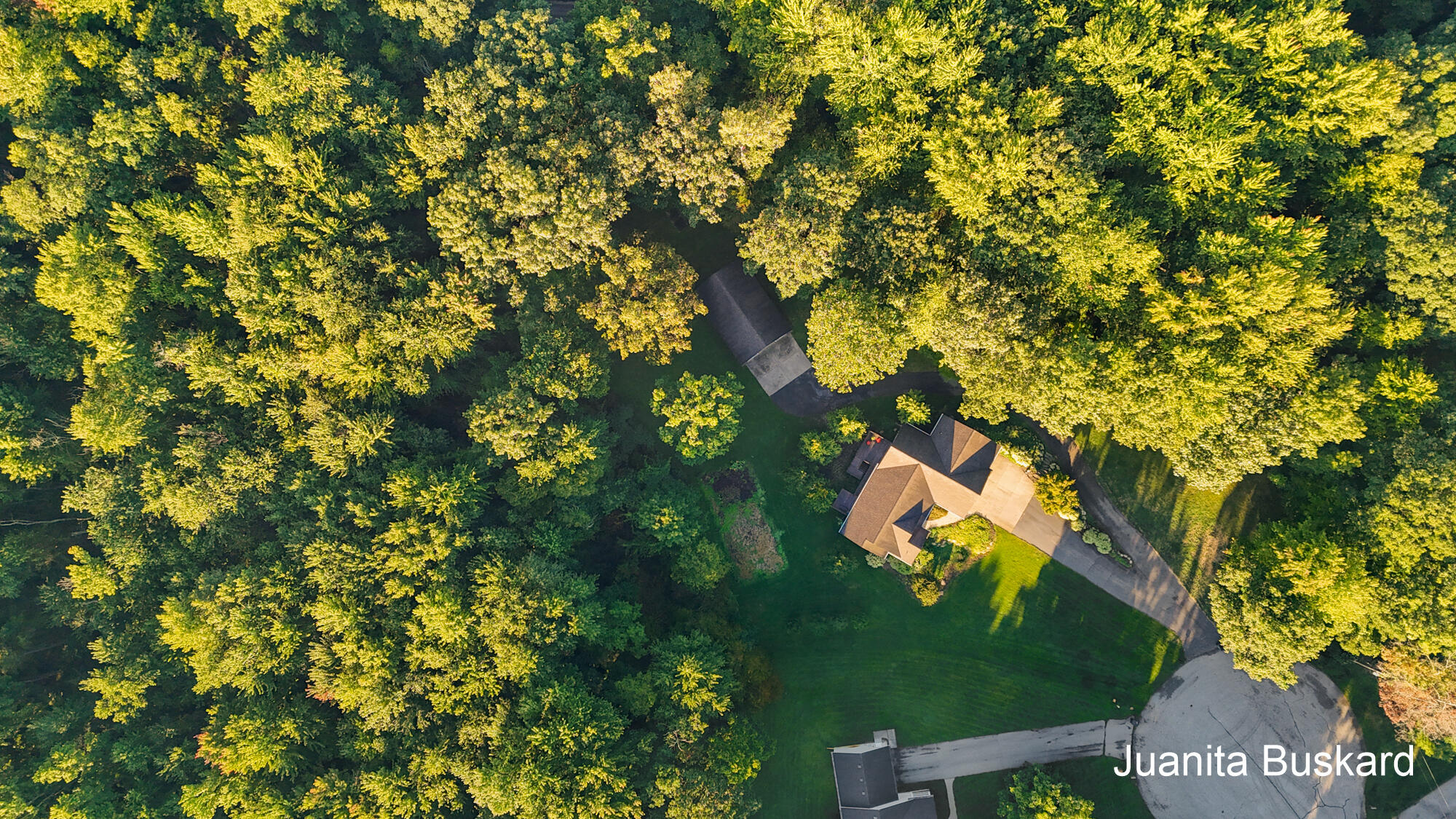 3431 Autumn Wood Drive Hamilton MI 49419