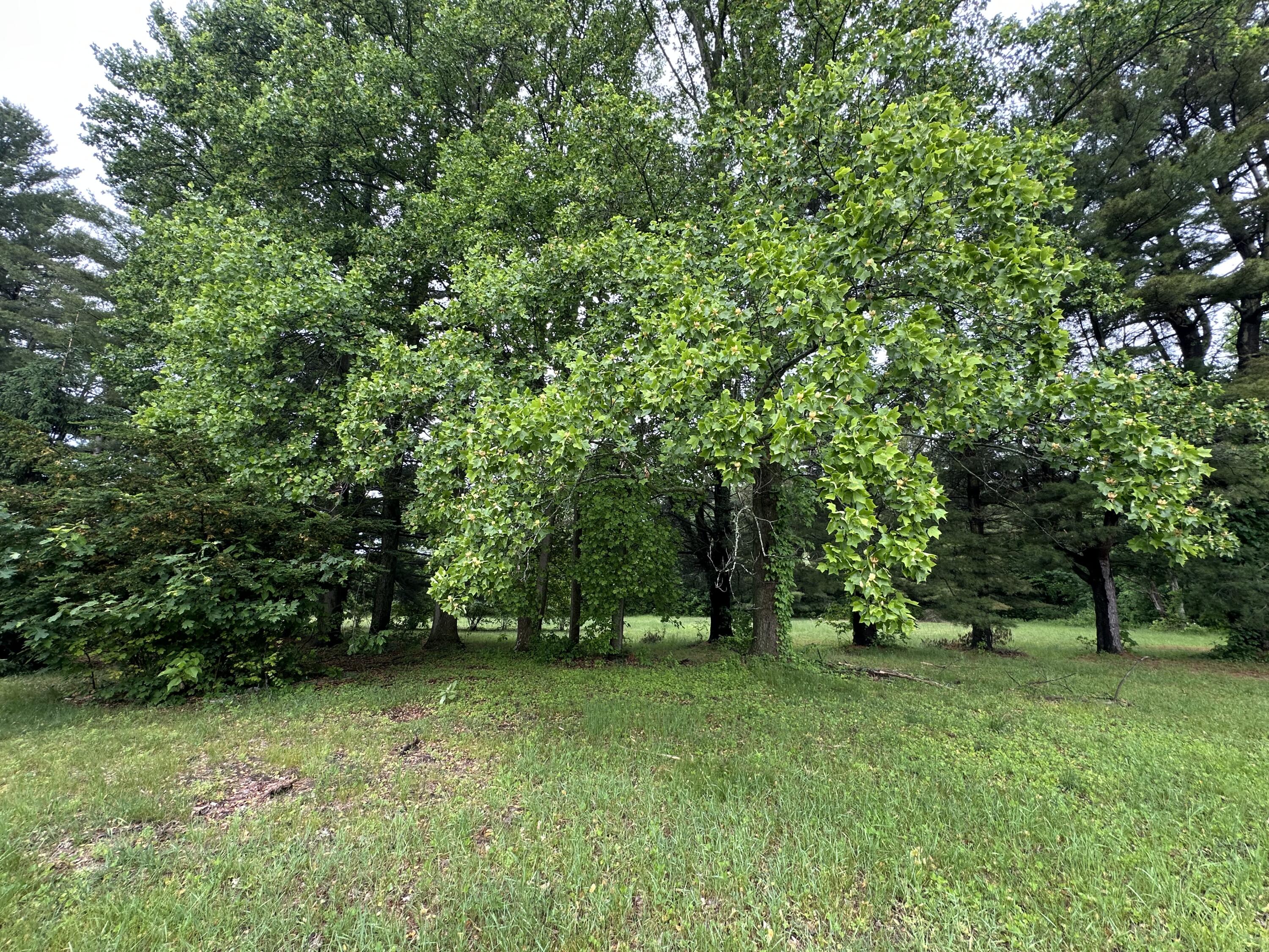 33259 Orchard Street Covert MI 49043
