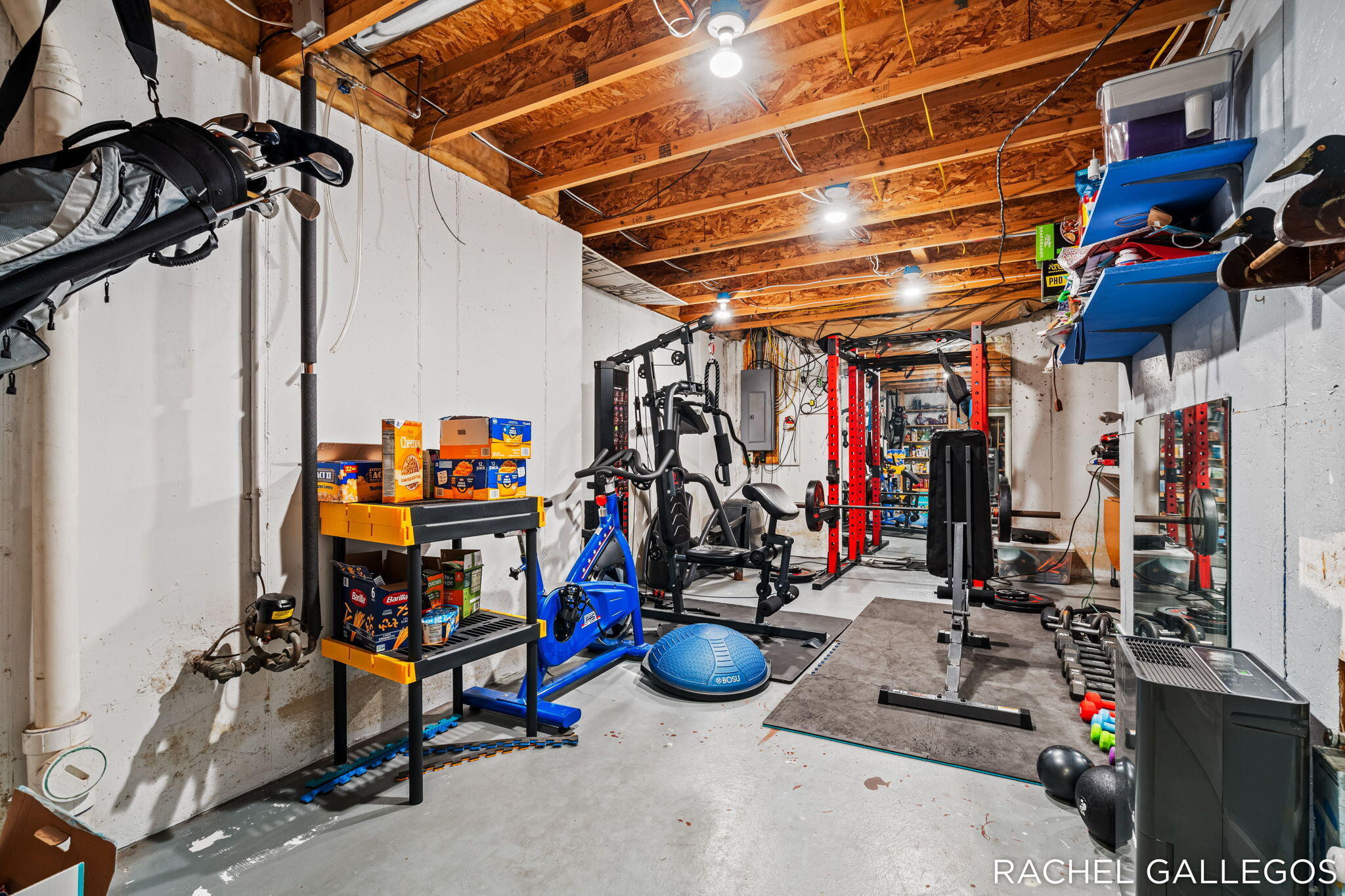 10699 Antelope Drive Zeeland MI 49464