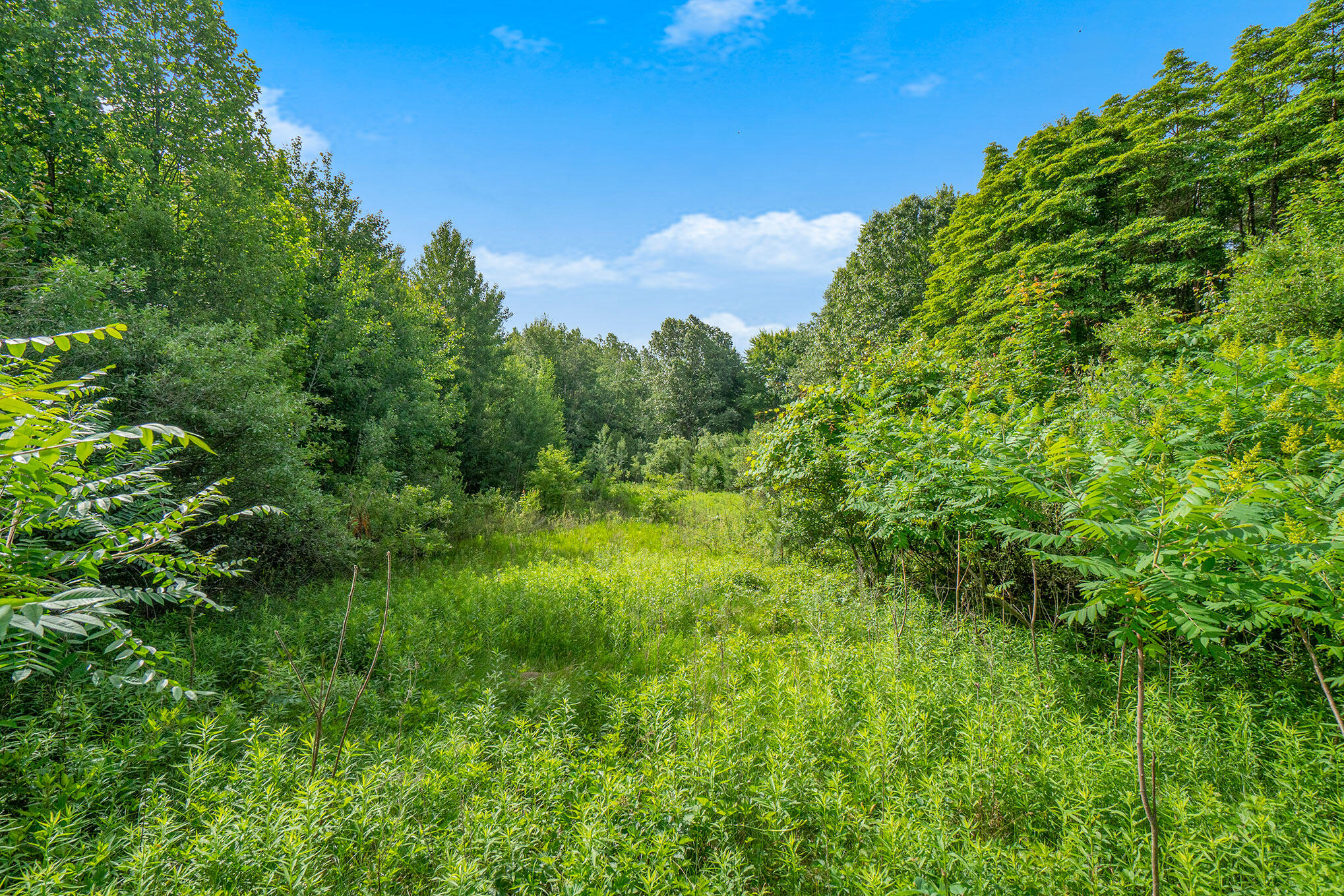 3365 Palmer Drive Saugatuck MI 49453
