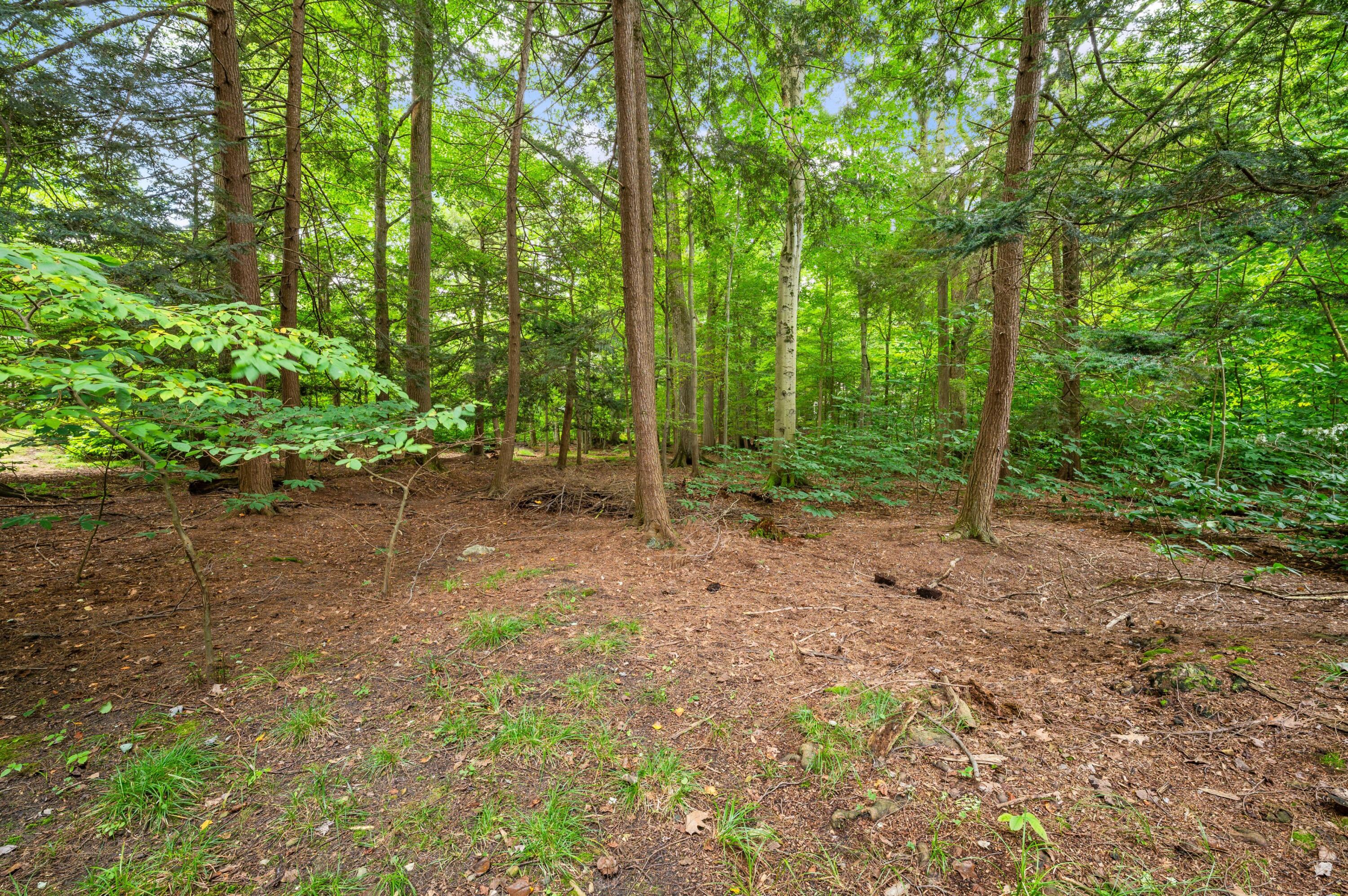 12760 Highland Shores Drive Sawyer MI 49125