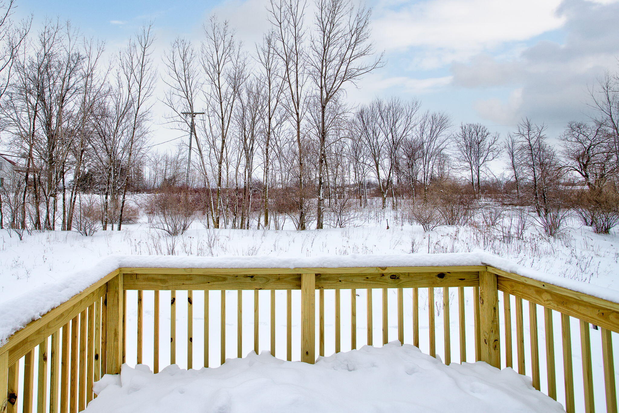 3630 Tulipleaf Drive Holland MI 49424