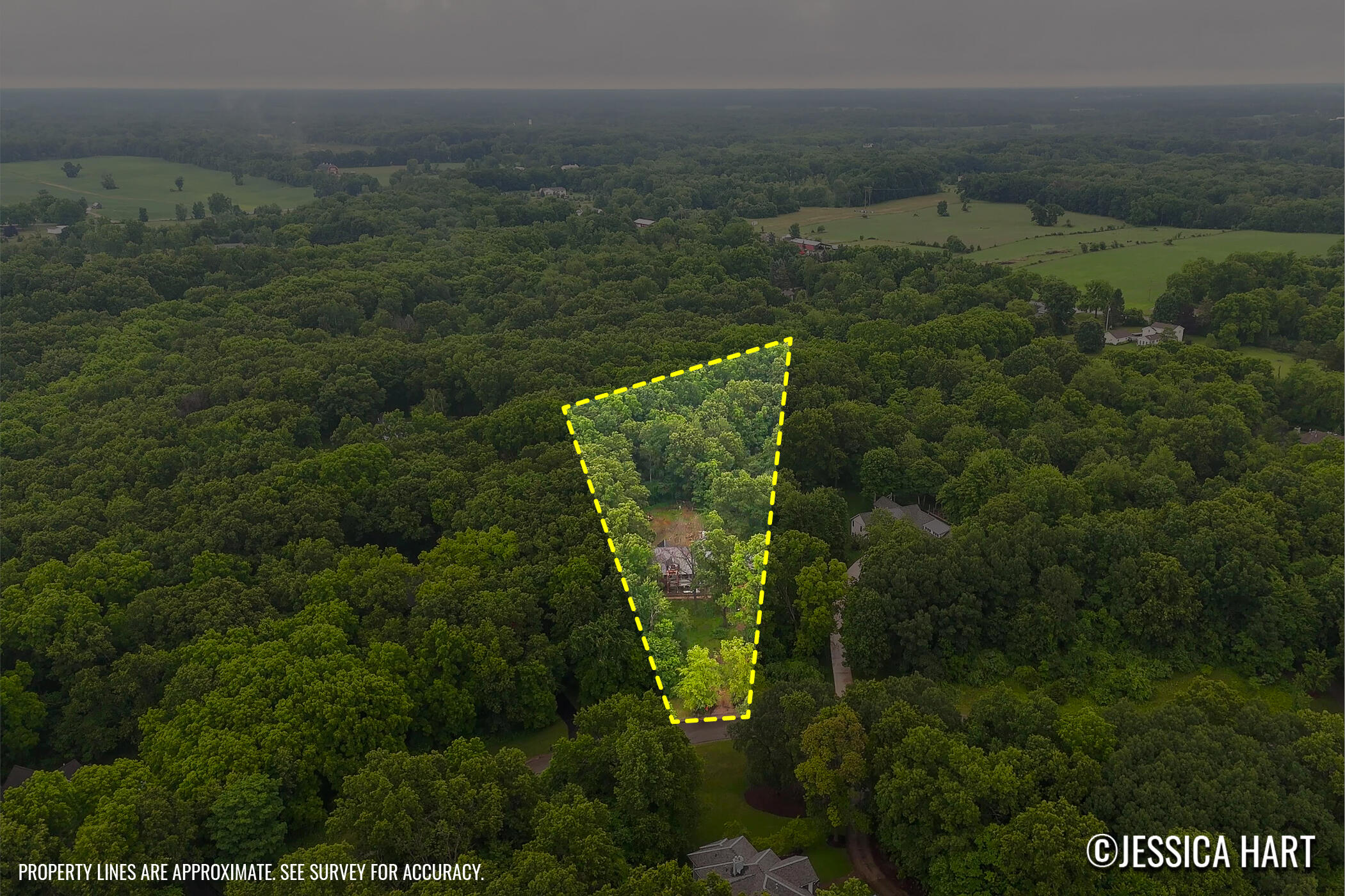 8969 Conservancy Drive NE Ada MI 49301