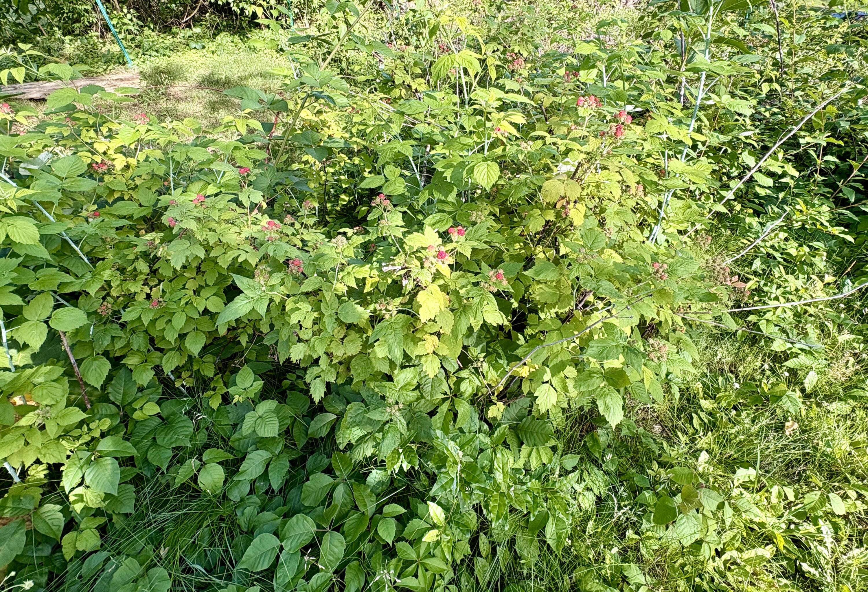 9065 Nature Way Kalamazoo MI 49009