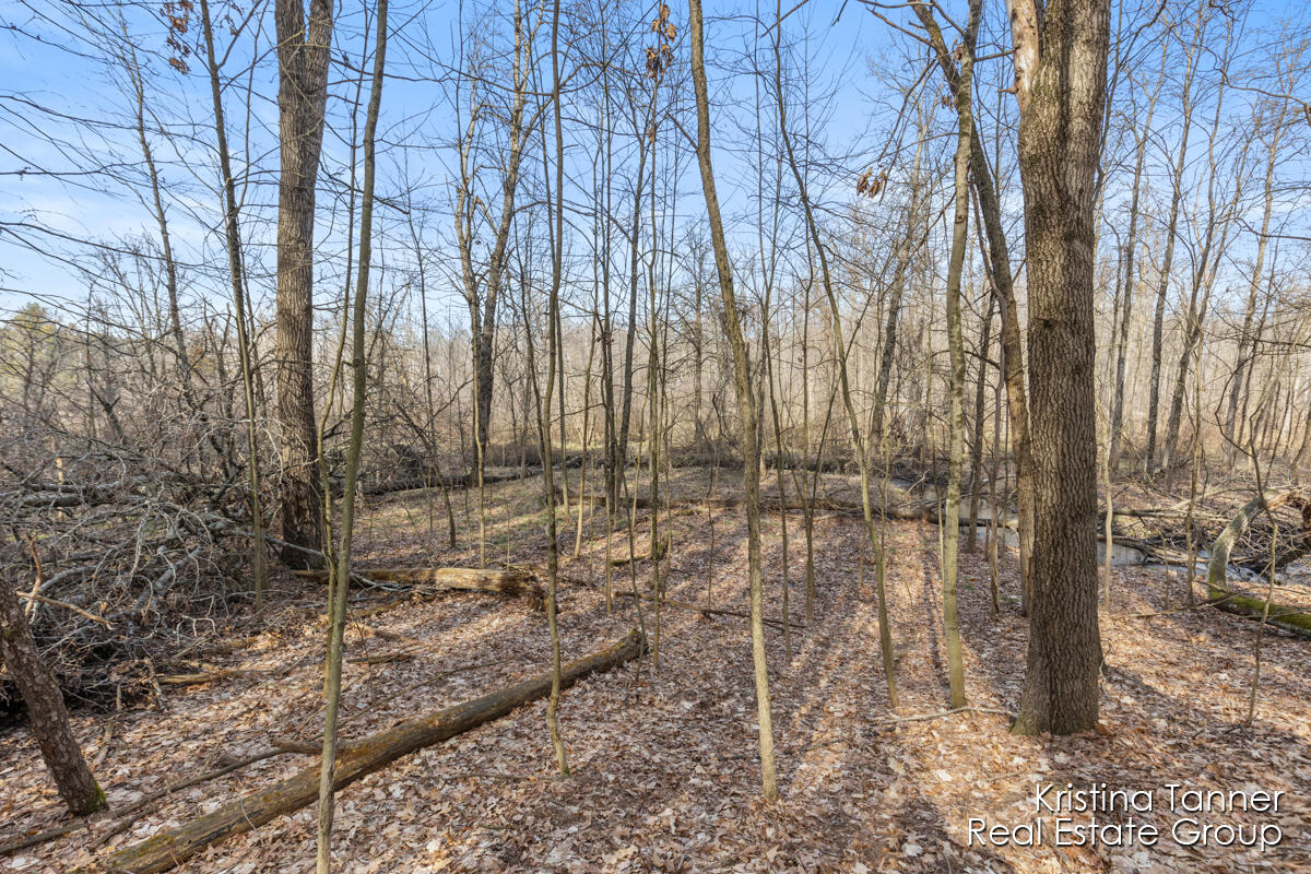 742 Honey Creek Ada MI 49301