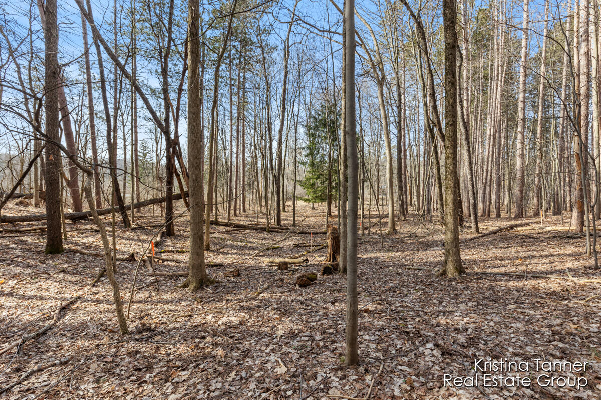 742 Honey Creek Ada MI 49301