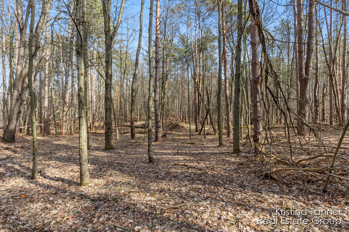 742 Honey Creek Ada MI 49301