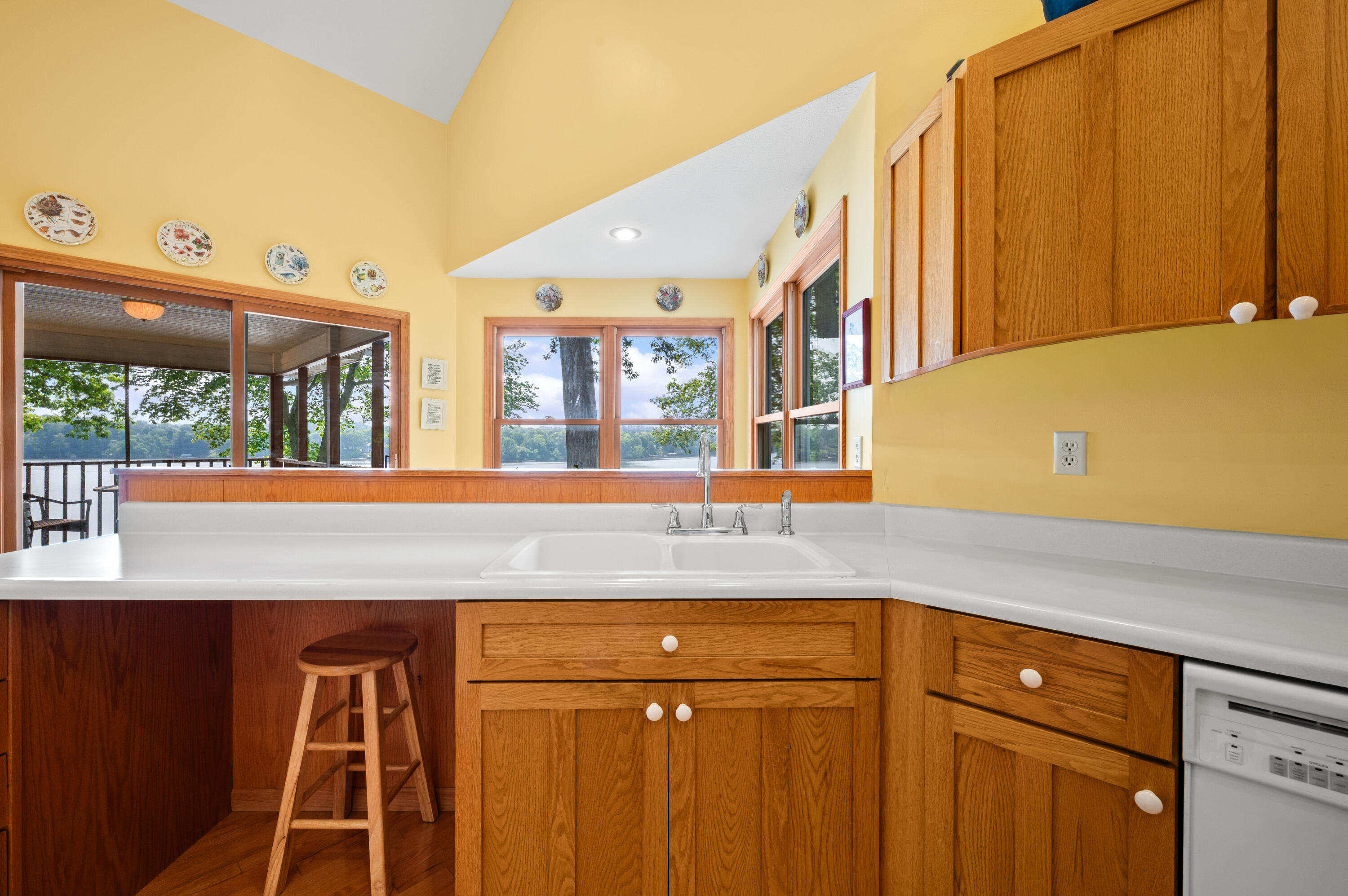 9895 Lakeview Drive Berrien Springs MI 49103