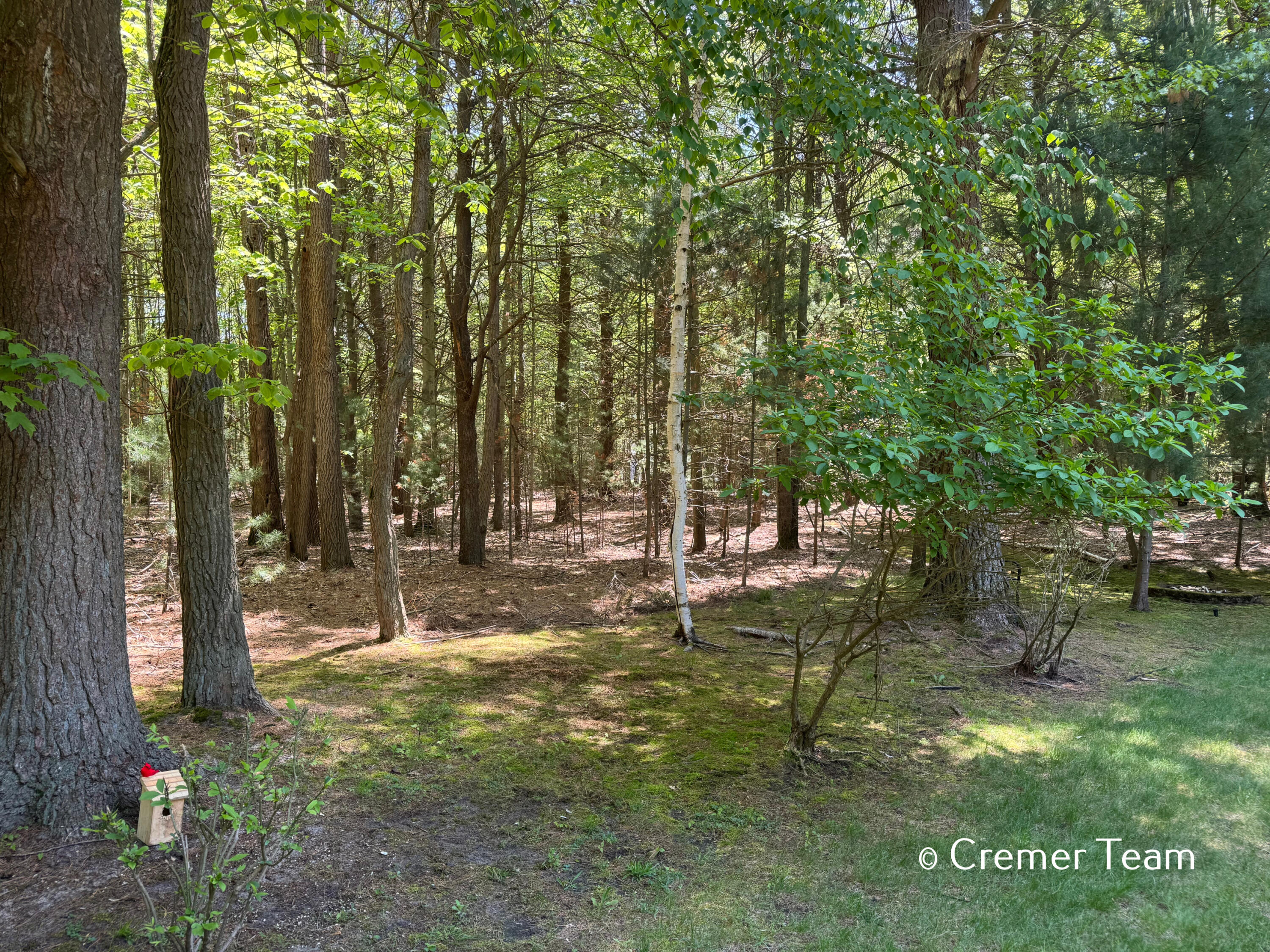 6512 Boulder Drive Norton Shores MI 49444