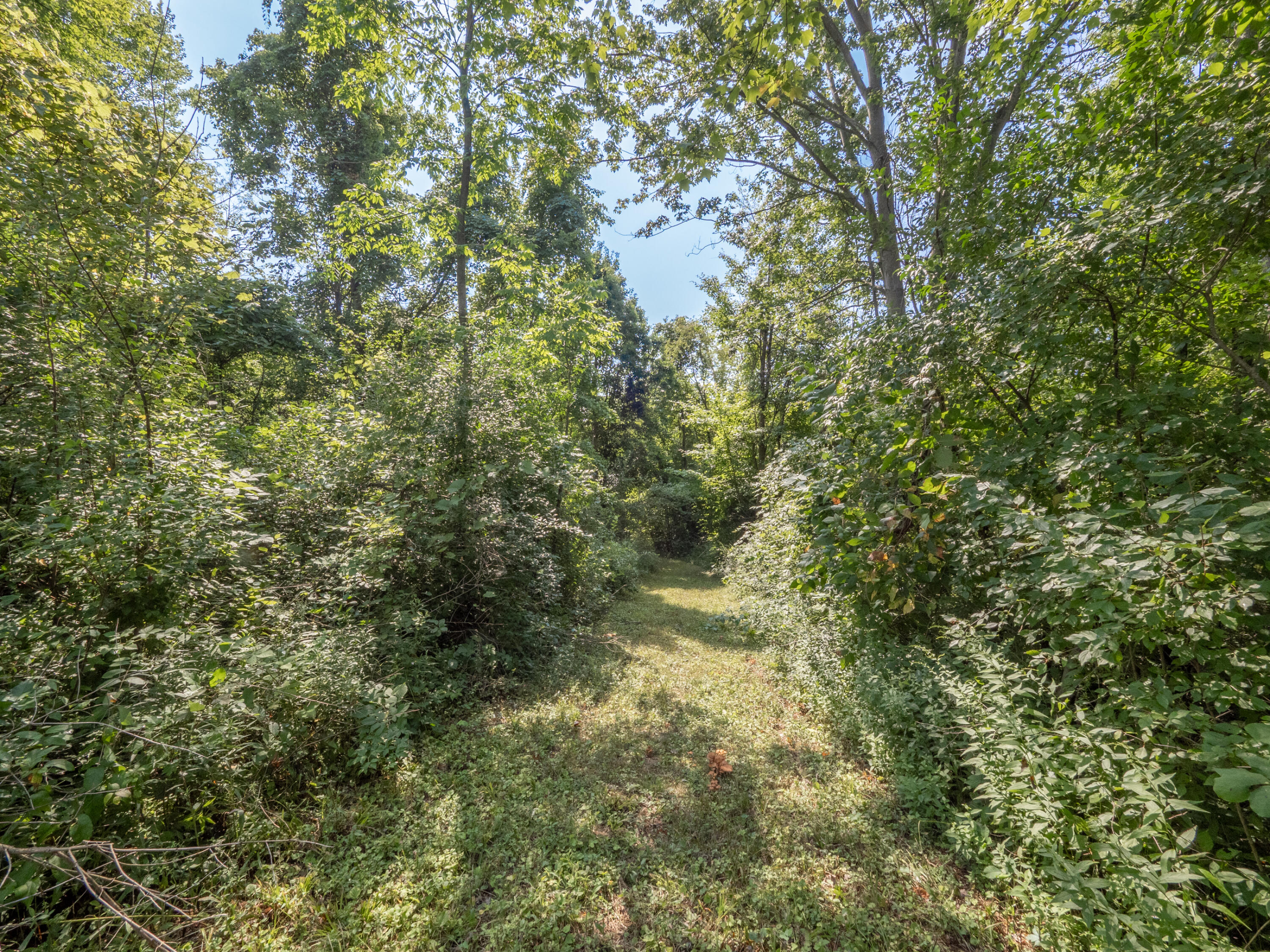 1762 118th Avenue Allegan MI 49010