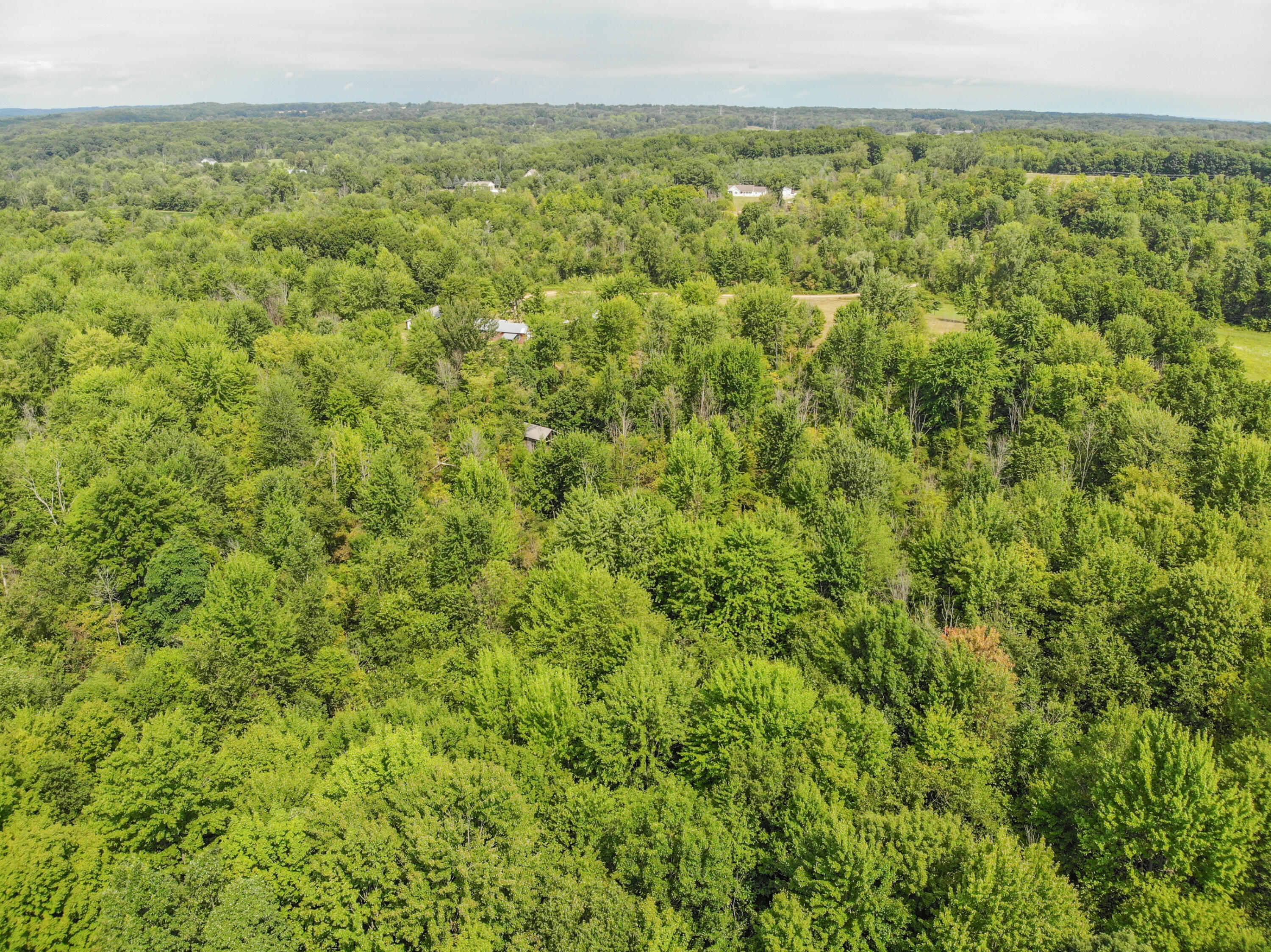 1762 118th Avenue Allegan MI 49010