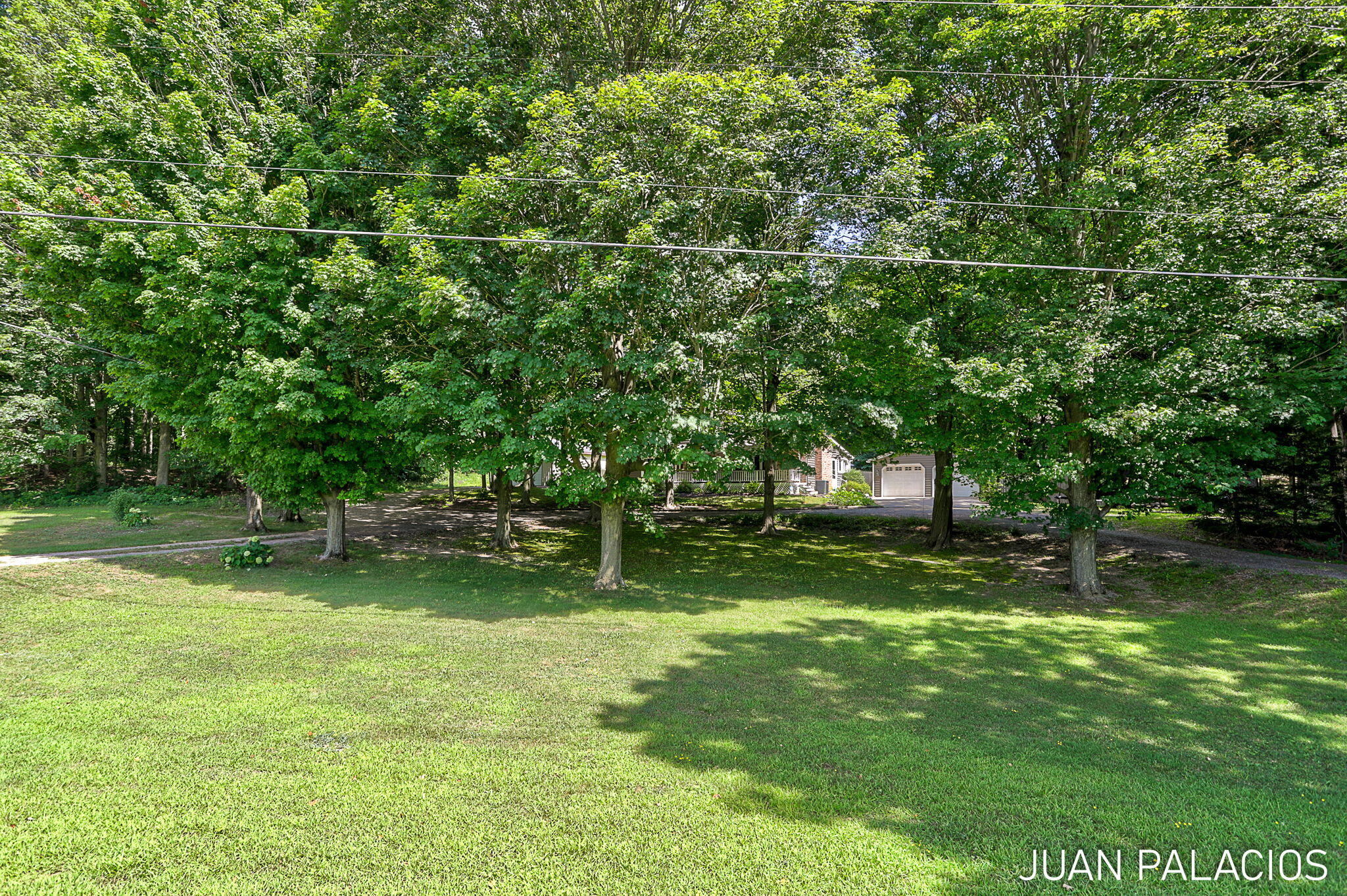 3393 113th Avenue Allegan MI 49010
