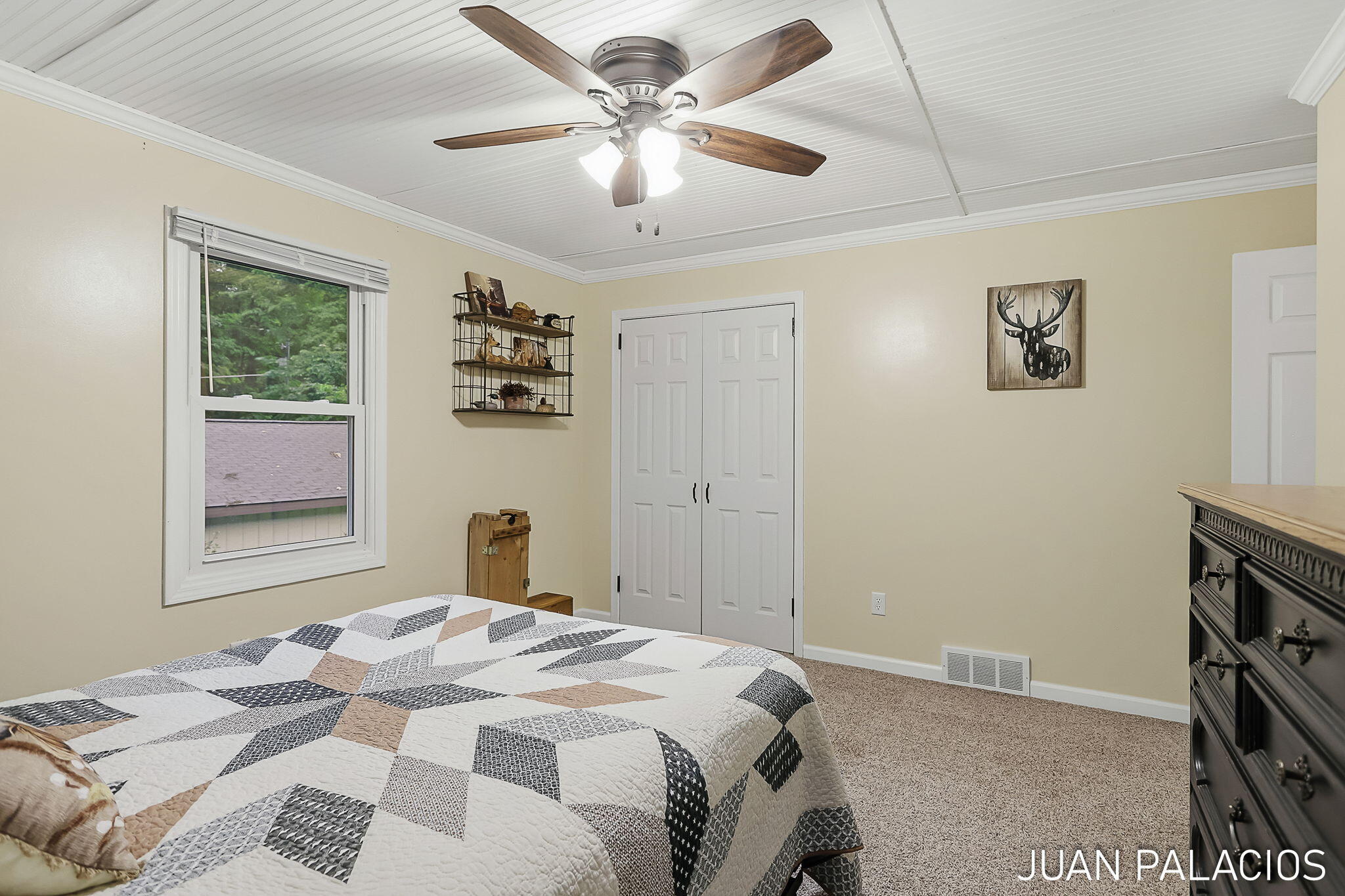 3393 113th Avenue Allegan MI 49010